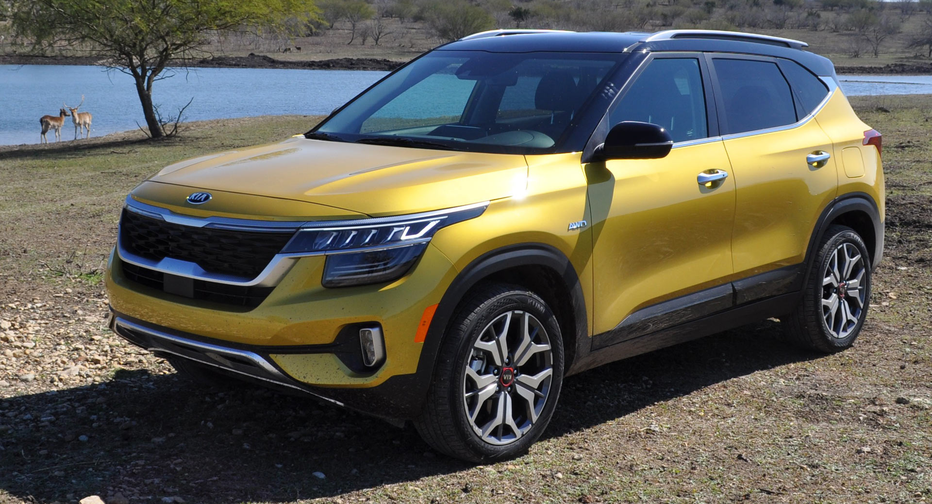 Driven: 2021 Kia Seltos Proves Entry-Level Crossovers Don't Have Be ...