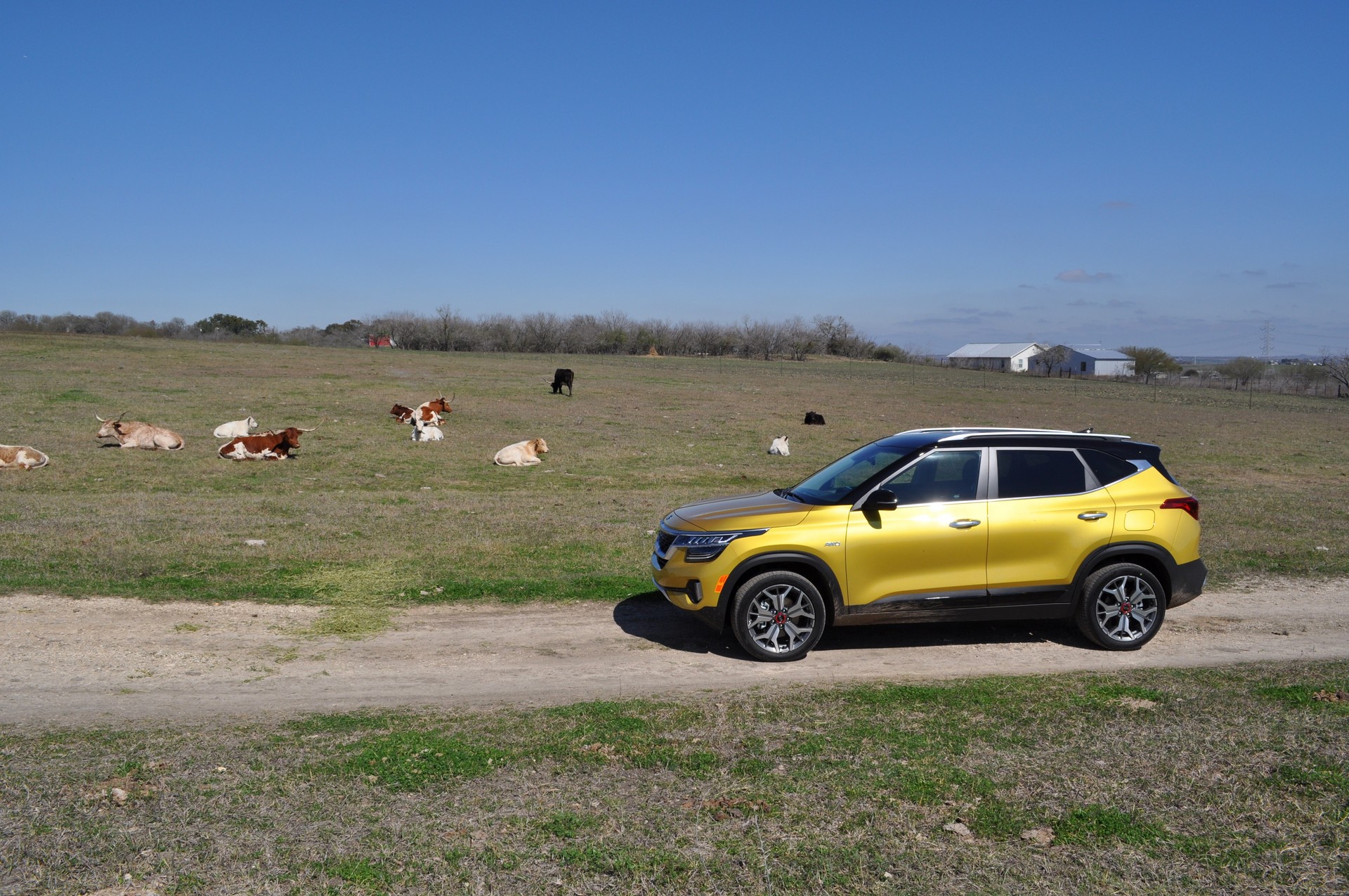 Driven: 2021 Kia Seltos Proves Entry-Level Crossovers Don’t Have Be Full Of Compromises
