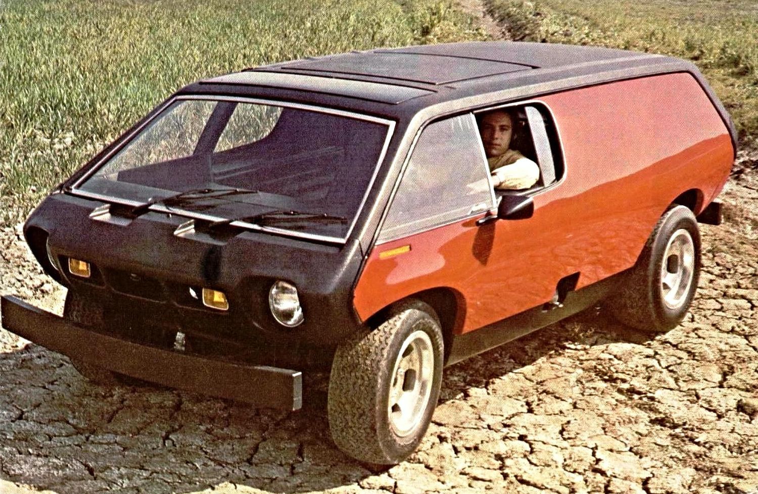 Here’s Something To Root For: A 21st Century Brubaker Box Surf Van