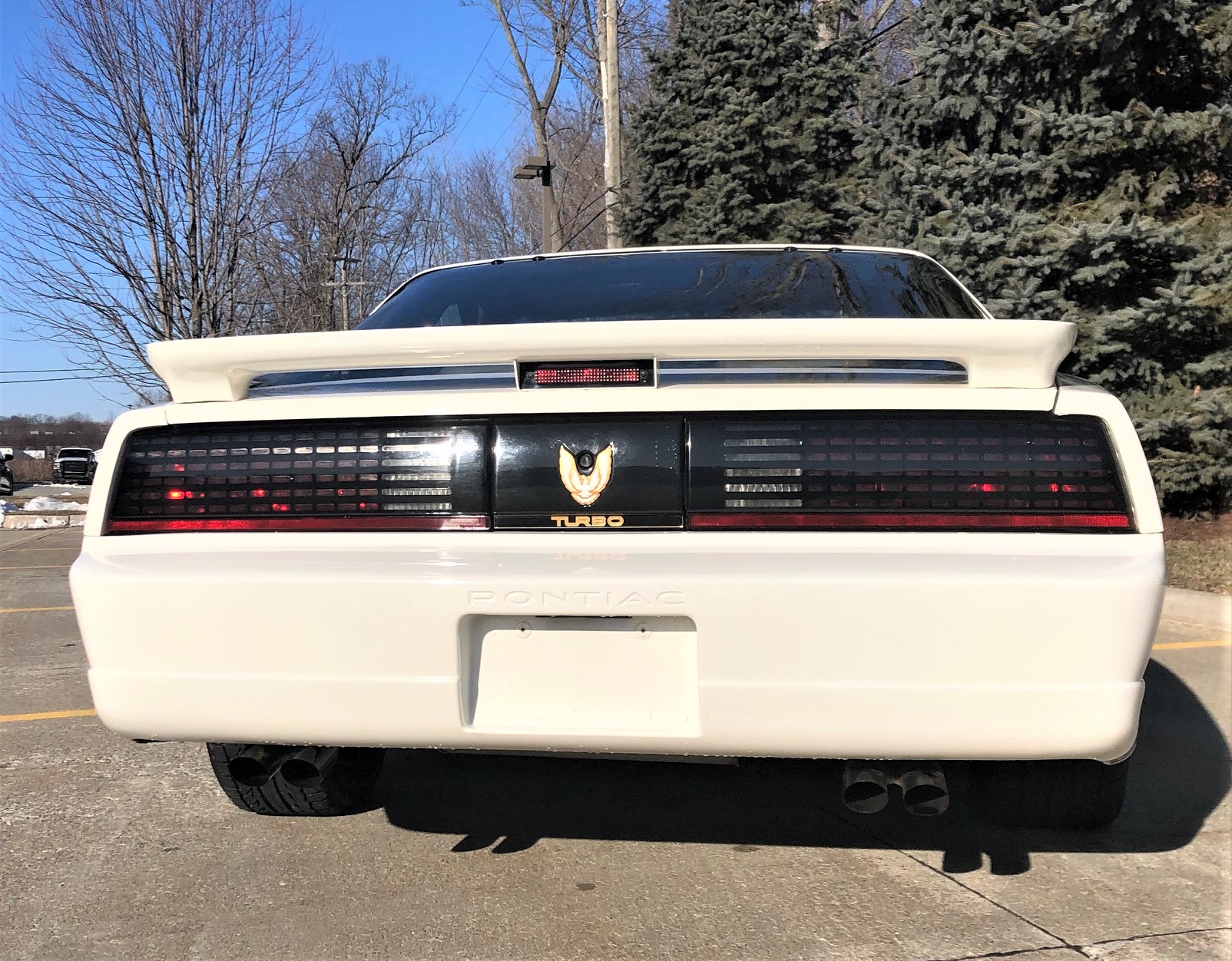 Special Edition 1989 Pontiac Trans Am Turbo Invites You To Get Your Groove On