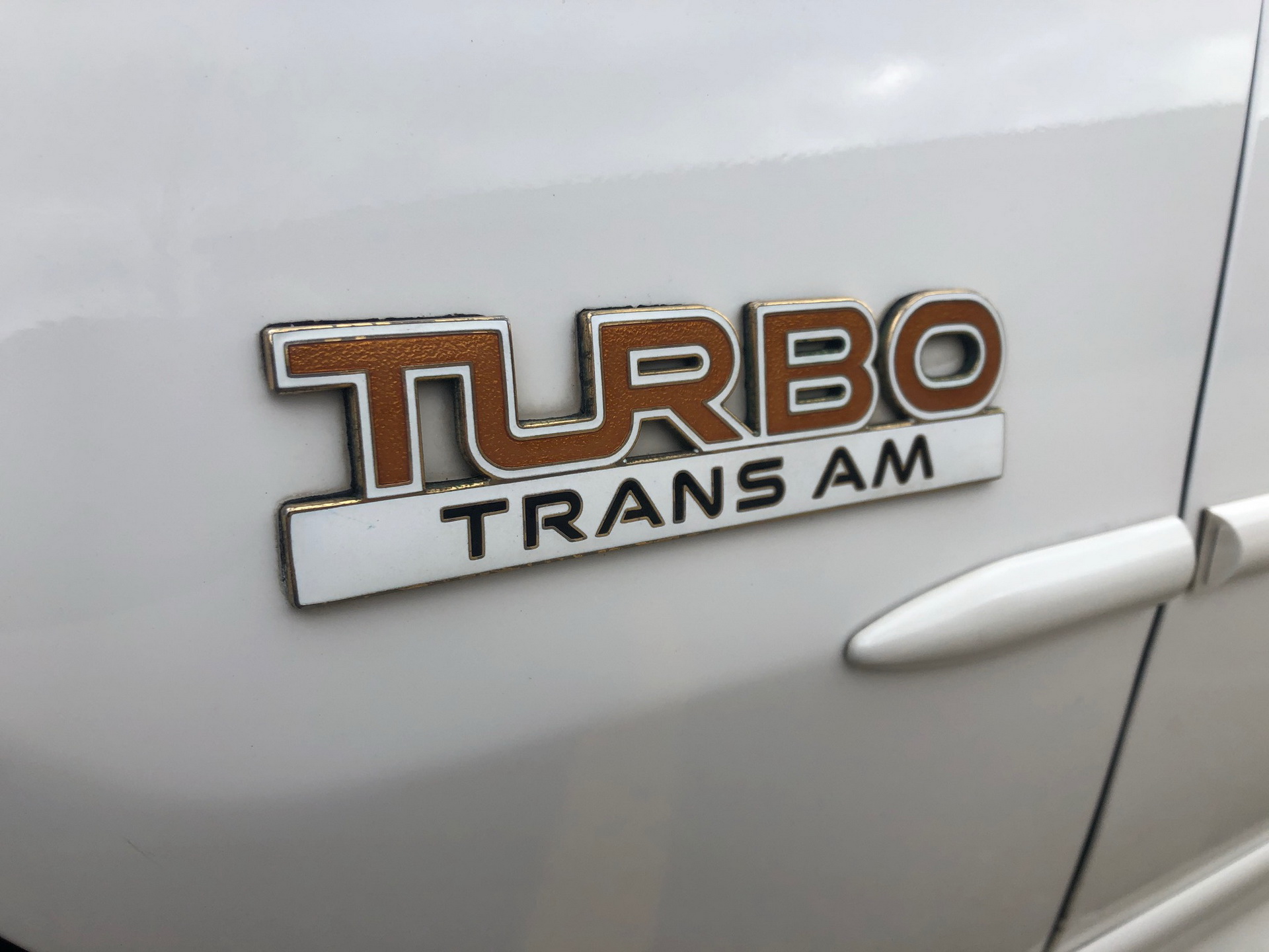 Special Edition 1989 Pontiac Trans Am Turbo Invites You To Get Your Groove On