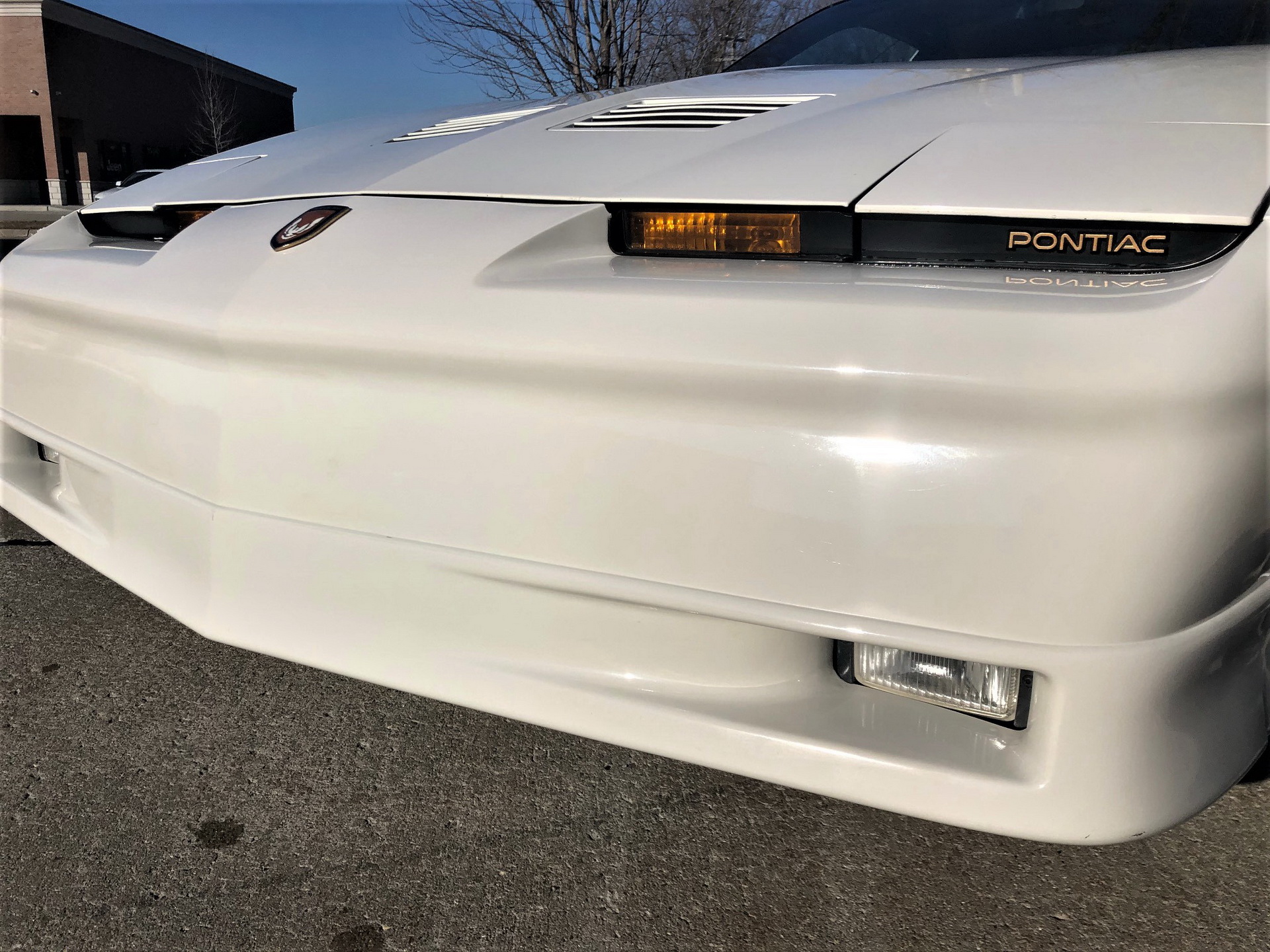 Special Edition 1989 Pontiac Trans Am Turbo Invites You To Get Your Groove On