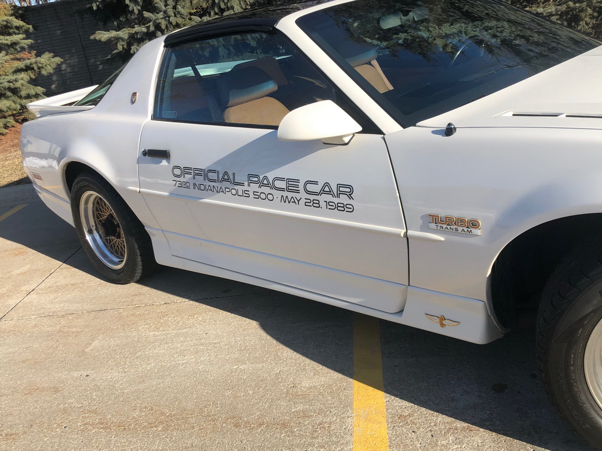 Special Edition 1989 Pontiac Trans Am Turbo Invites You To Get Your Groove On