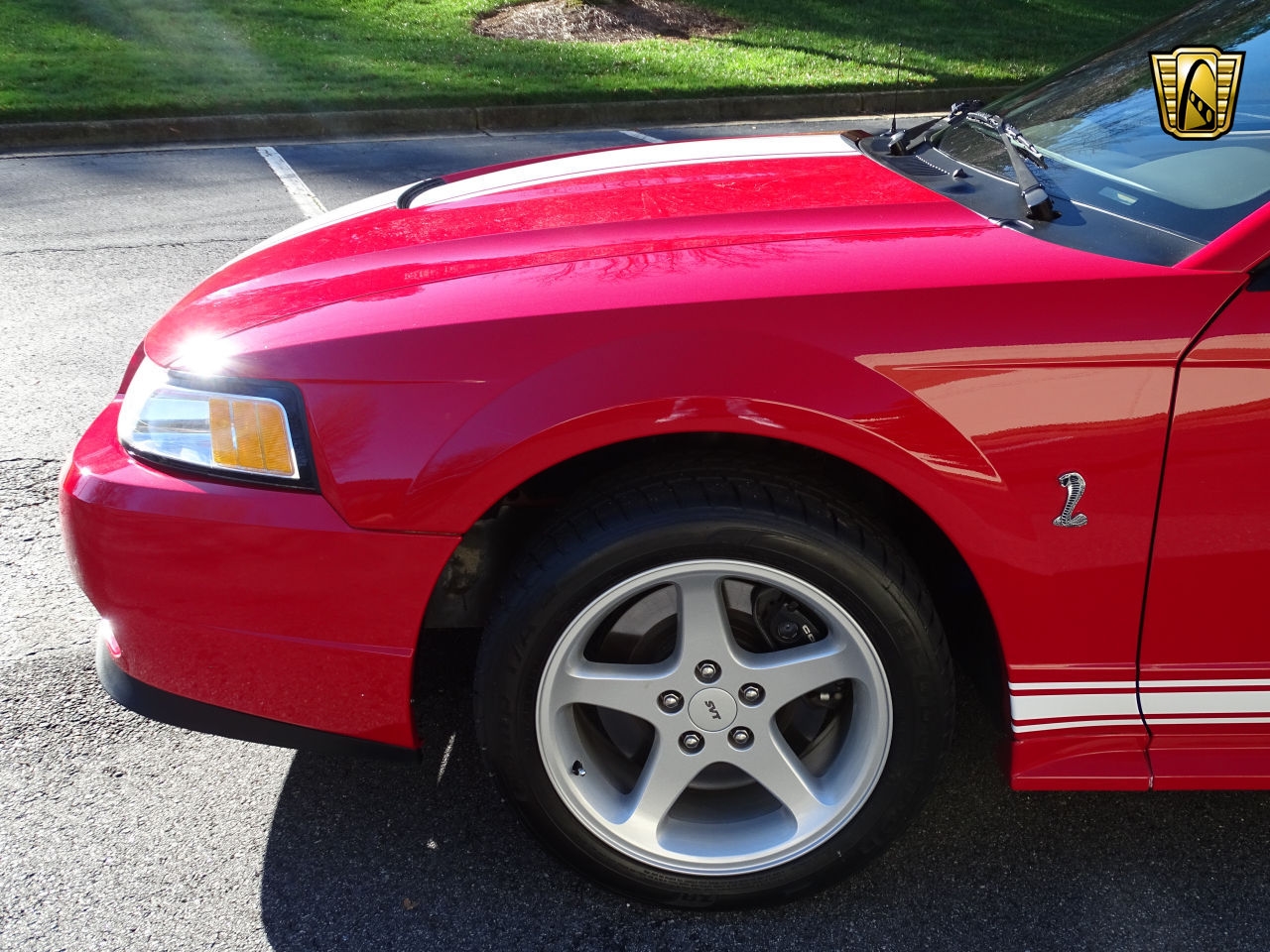 824 Miles Only: 1999 Ford Mustang Cobra SVT Is Red With Fury For Not Being Driven
