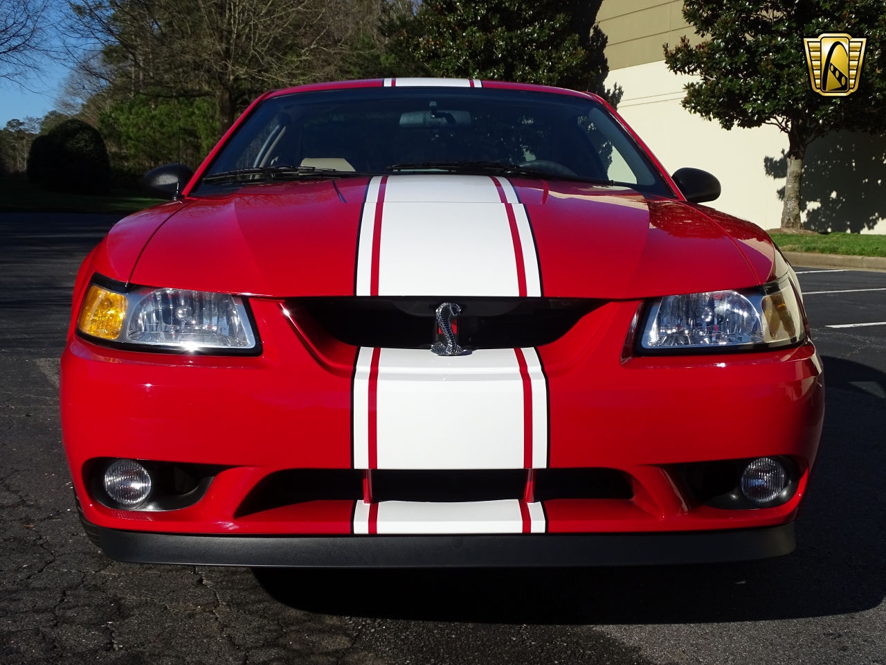 824 Miles Only: 1999 Ford Mustang Cobra SVT Is Red With Fury For Not Being Driven