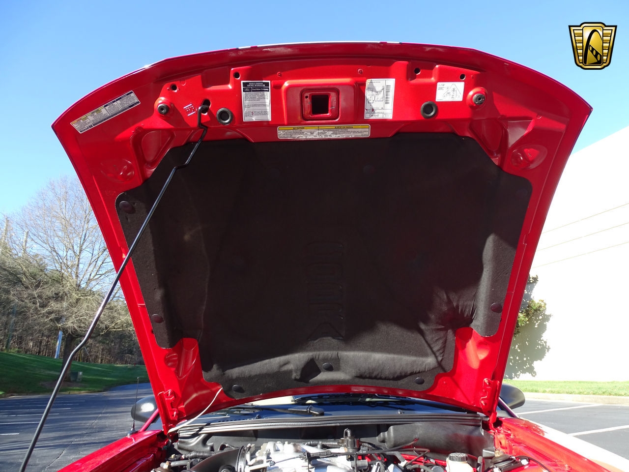 824 Miles Only: 1999 Ford Mustang Cobra SVT Is Red With Fury For Not Being Driven