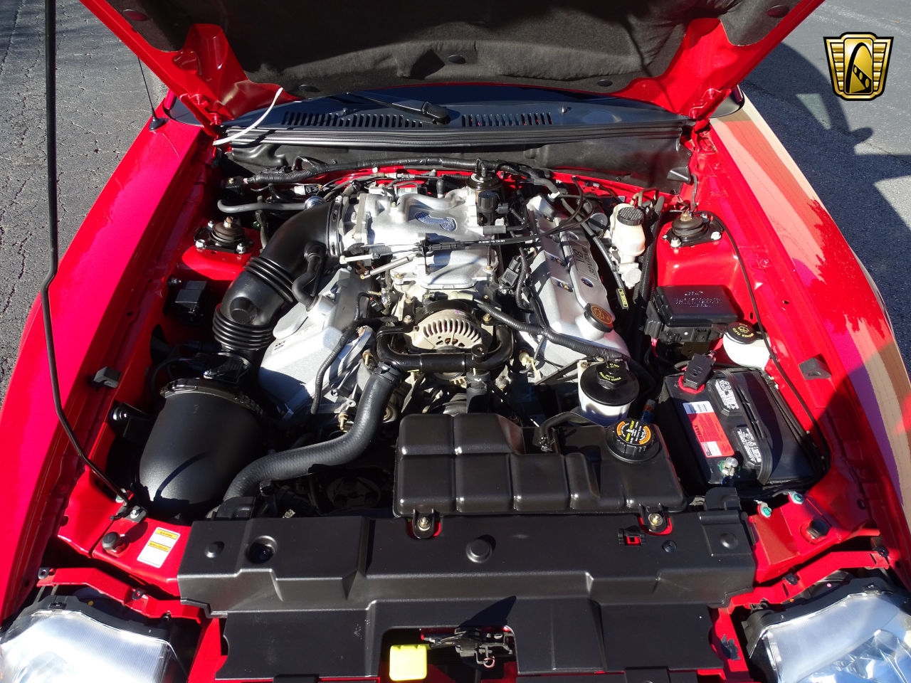 824 Miles Only: 1999 Ford Mustang Cobra SVT Is Red With Fury For Not Being Driven