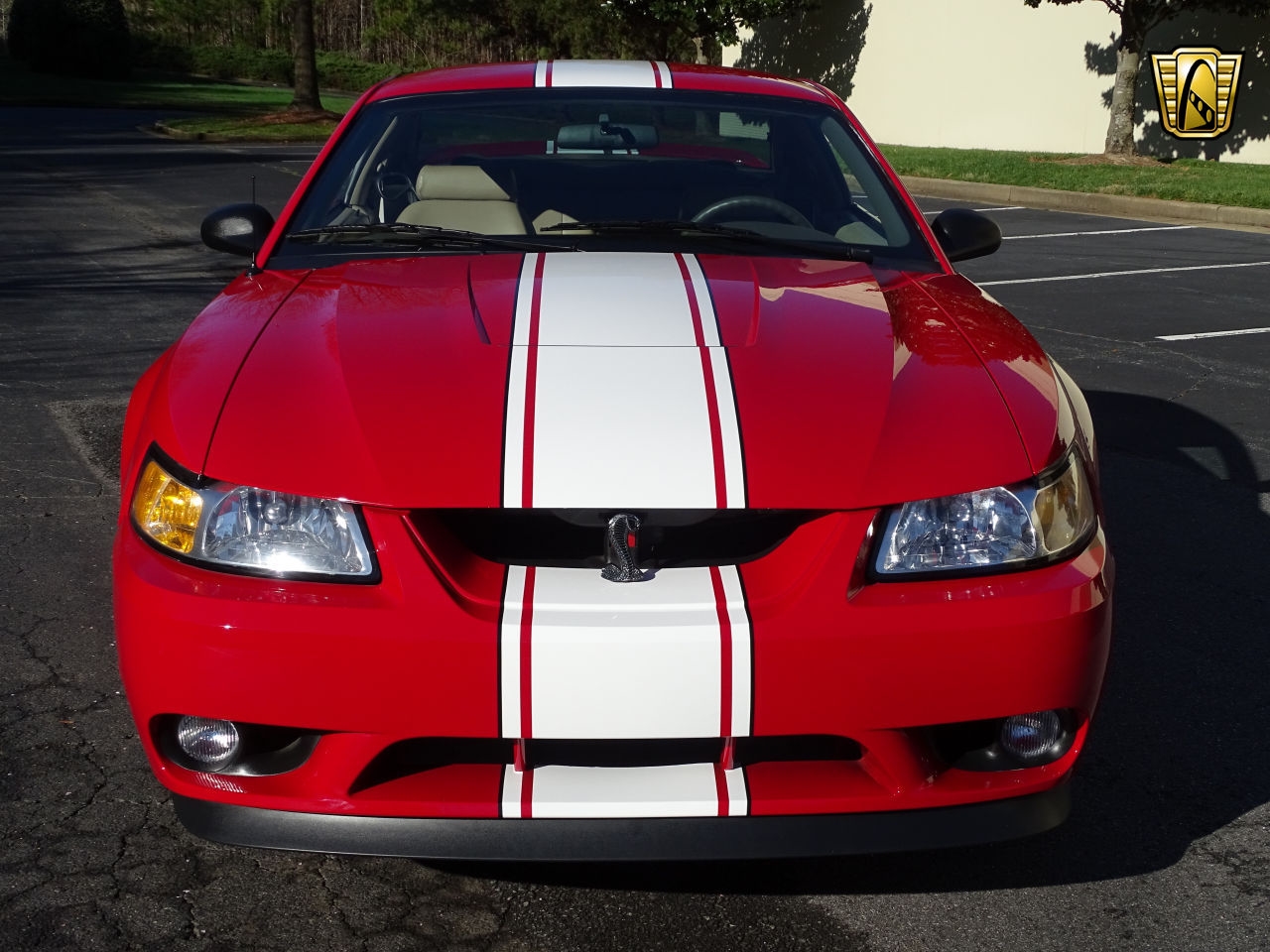 824 Miles Only: 1999 Ford Mustang Cobra SVT Is Red With Fury For Not Being Driven