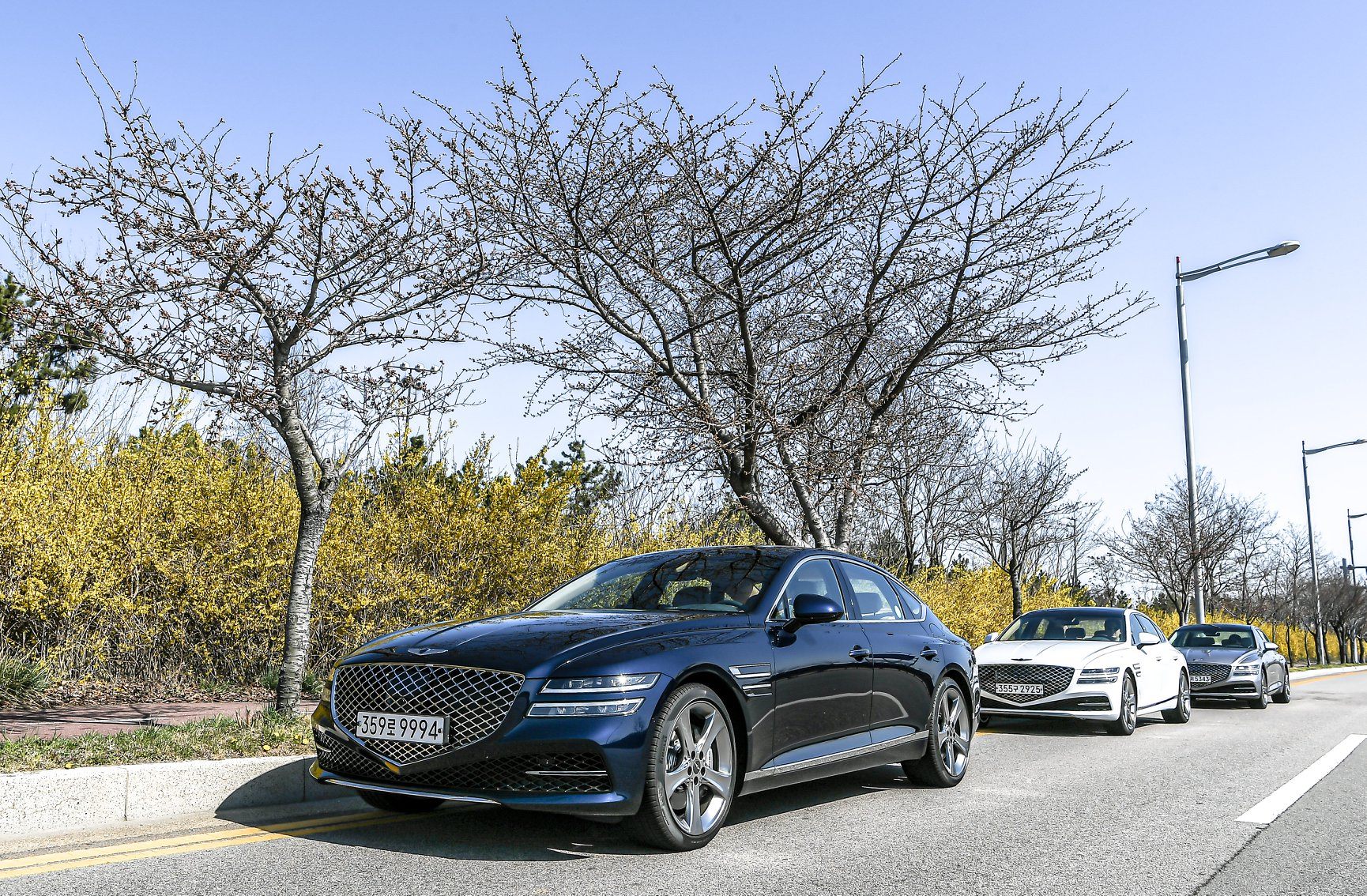 Delve Into All Things 2021 Genesis G80 With New Photos, KDM Brochure With Options And More