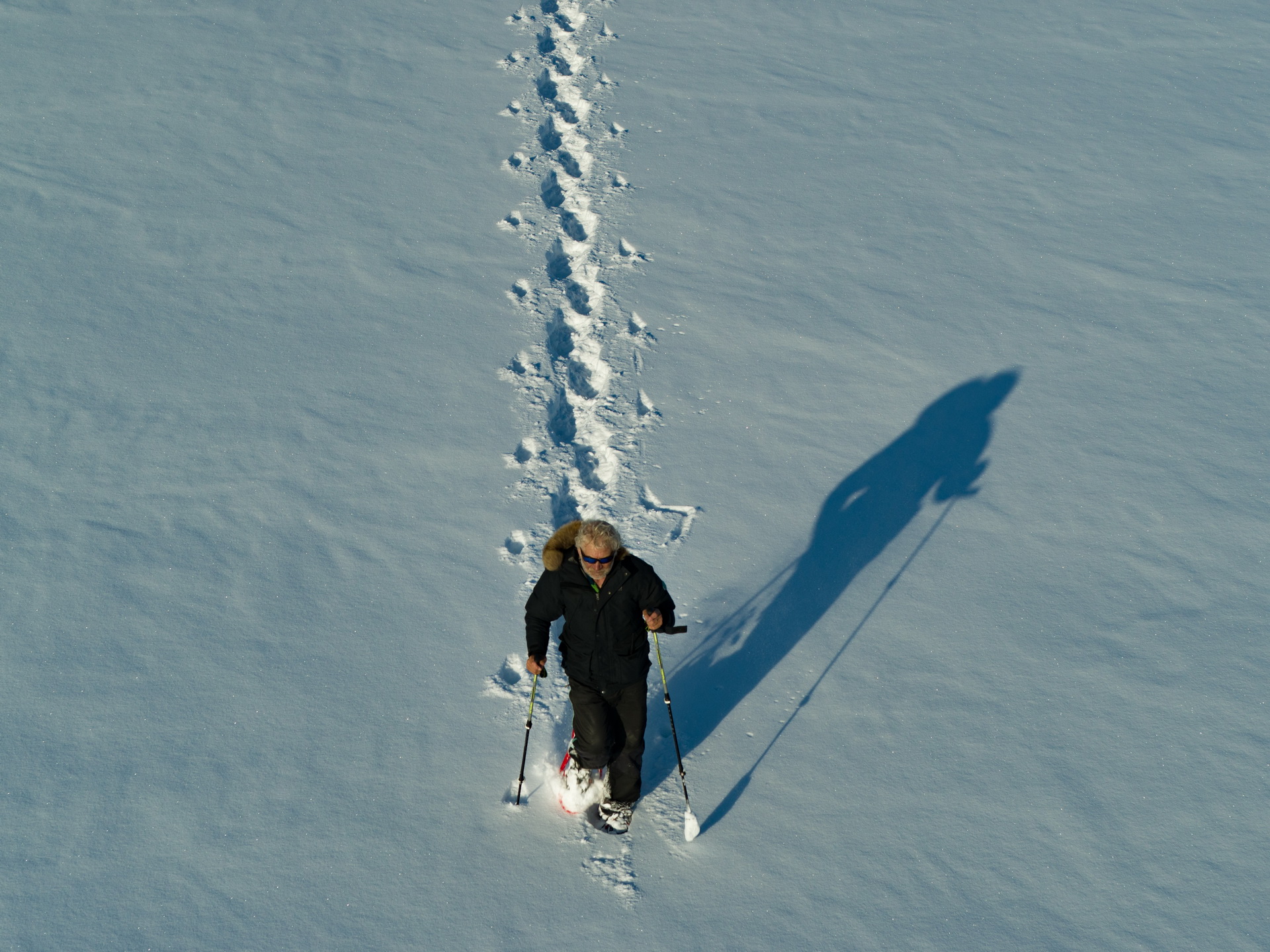 This Is How JLR Celebrates 50 Years Of Range Rovers, In Style!