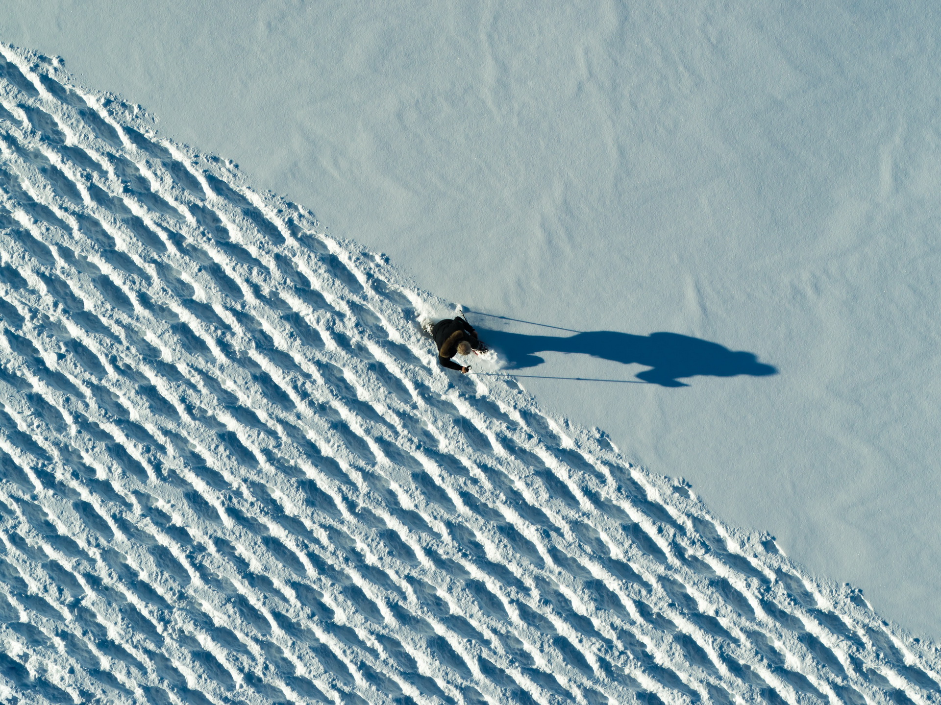 This Is How JLR Celebrates 50 Years Of Range Rovers, In Style!