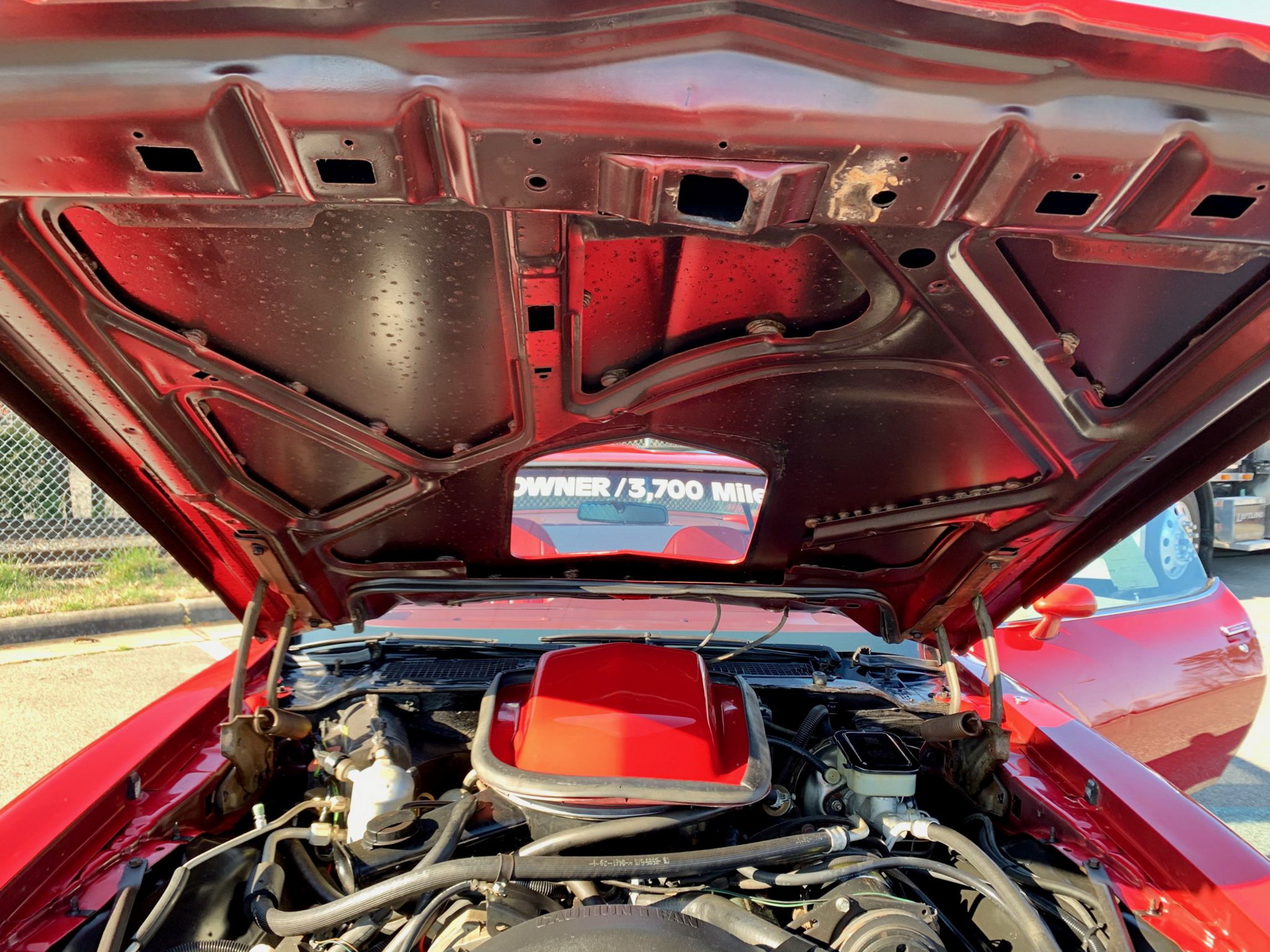 Will This Original 4k-Mile 1981 Pontiac Firebird Trans Am Make You Scream Like A Chicken?