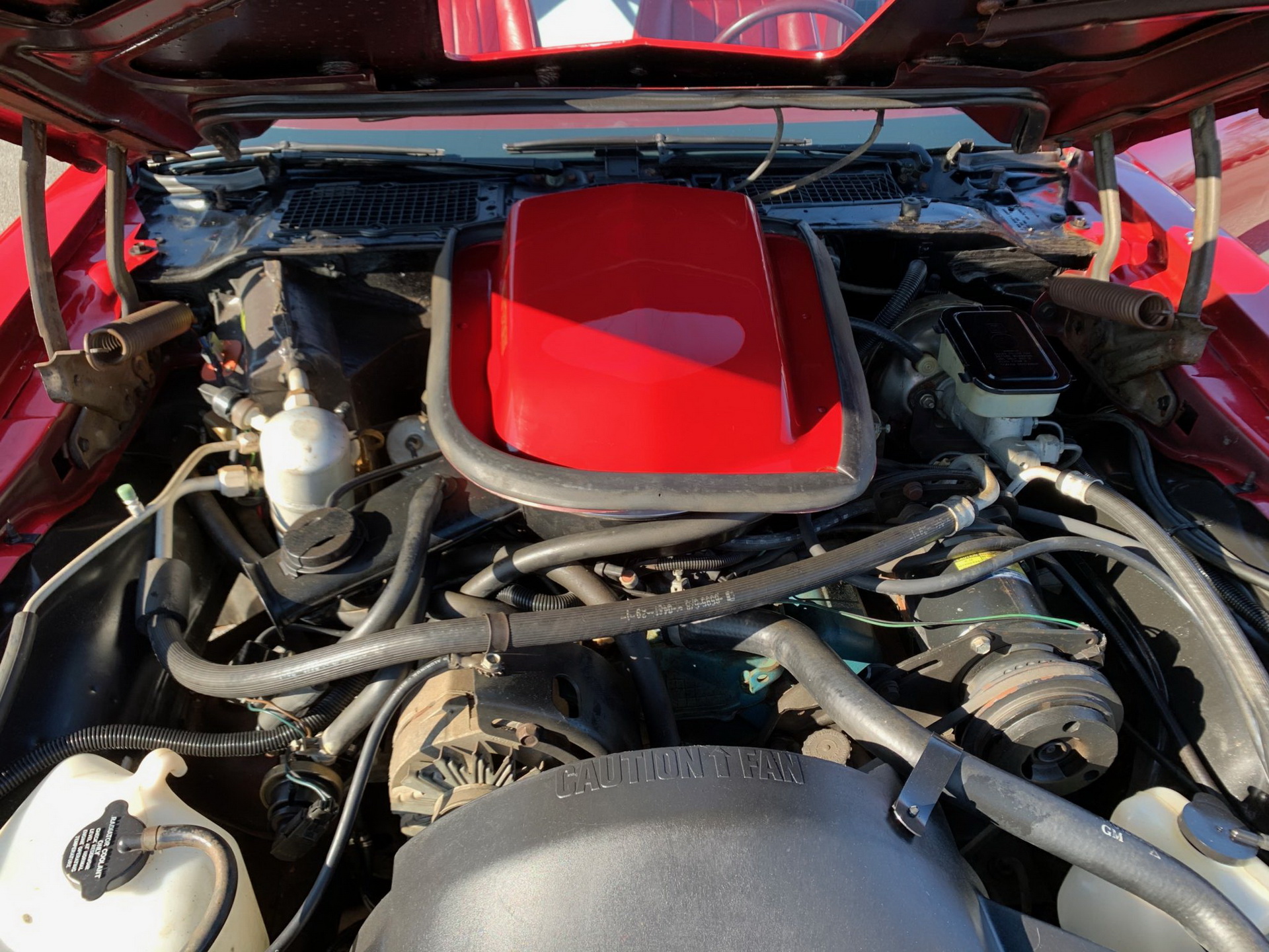 Will This Original 4k-Mile 1981 Pontiac Firebird Trans Am Make You Scream Like A Chicken?