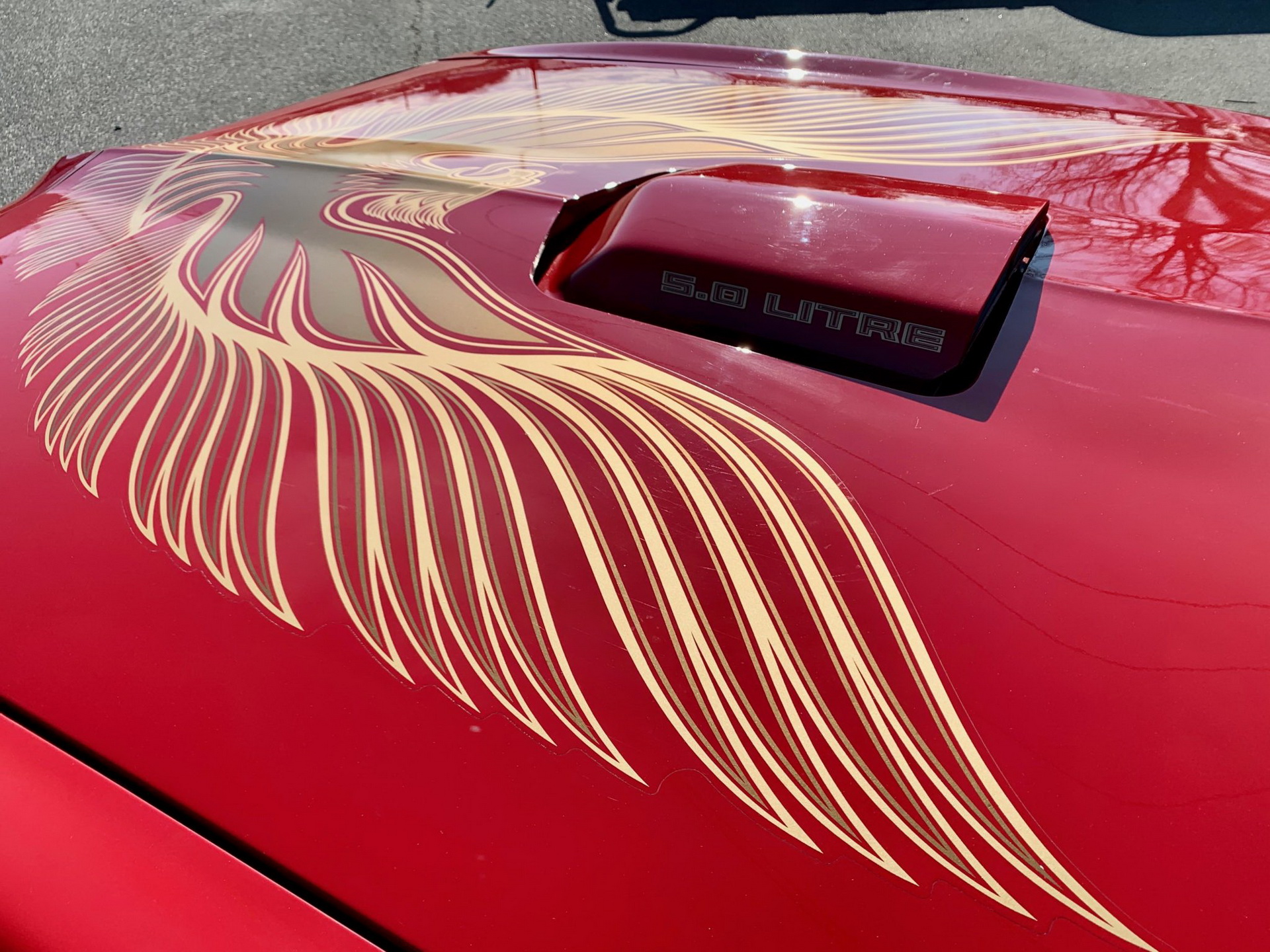 Will This Original 4k-Mile 1981 Pontiac Firebird Trans Am Make You Scream Like A Chicken?