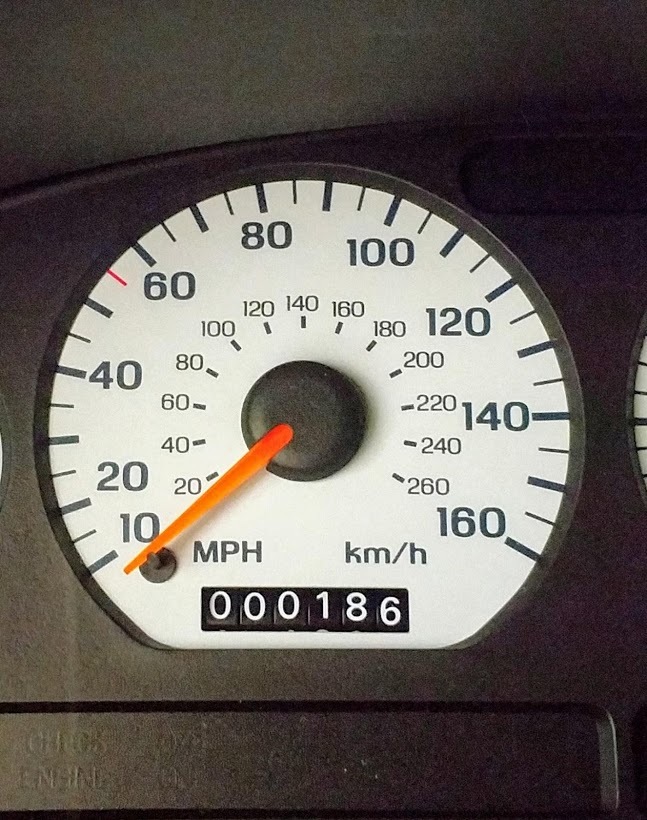 There’s A New 1995 Ford Mustang Cobra R Still In Plastic Wraps For Sale!