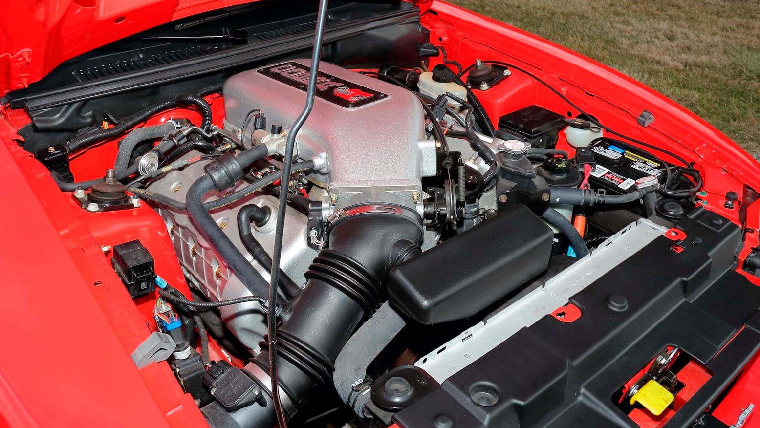 This 2000 Ford Mustang SVT Cobra R Was Driven Just 480 Miles And That’s A Travesty