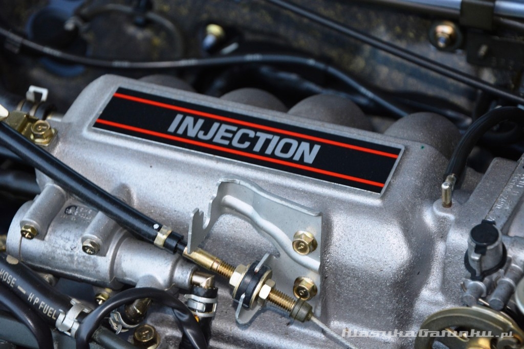 The Sad Story Of The Swiss Dealer Who Mysteriously Hoarded Over 110 Brand New Cars For Decades