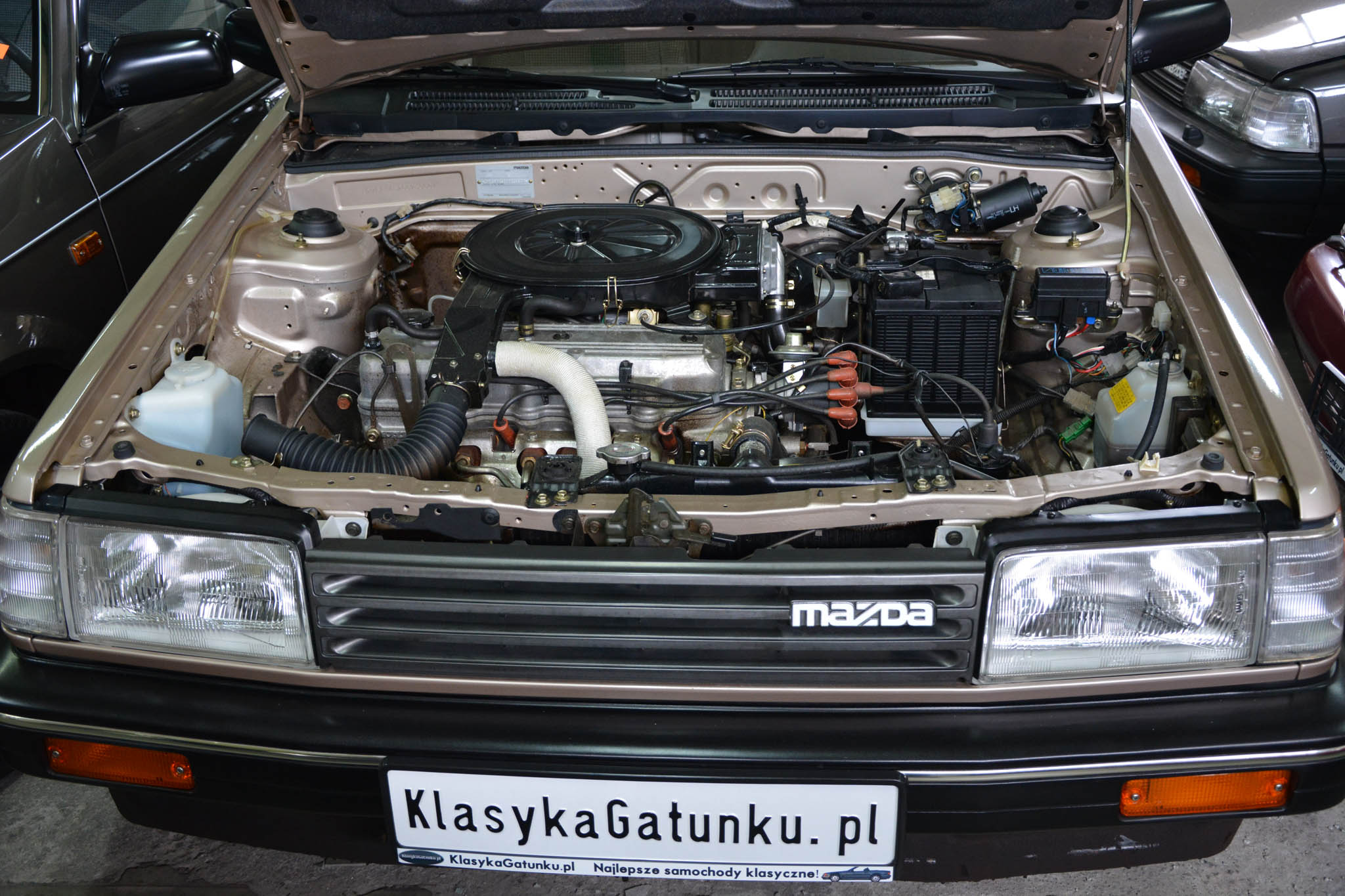 The Sad Story Of The Swiss Dealer Who Mysteriously Hoarded Over 110 Brand New Cars For Decades