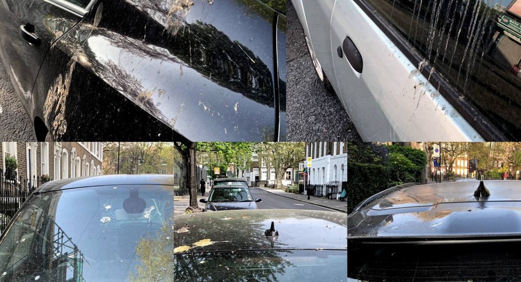 Did You Know Ford Makes Bird Poop In The Lab For The Sake Of Science?