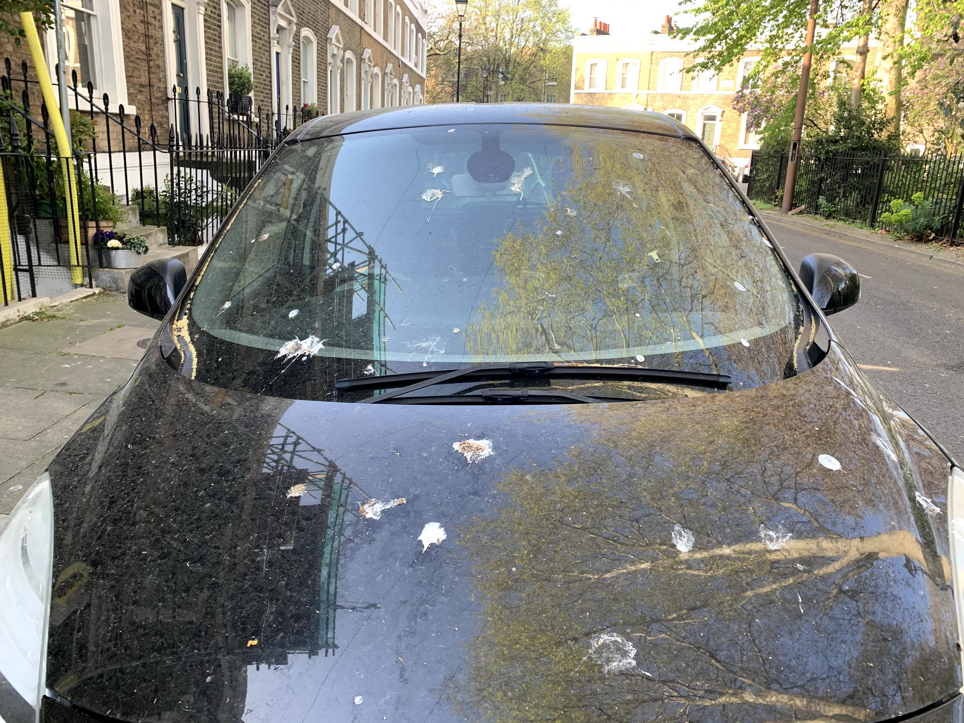 Did You Know Ford Makes Bird Poop In The Lab For The Sake Of Science?