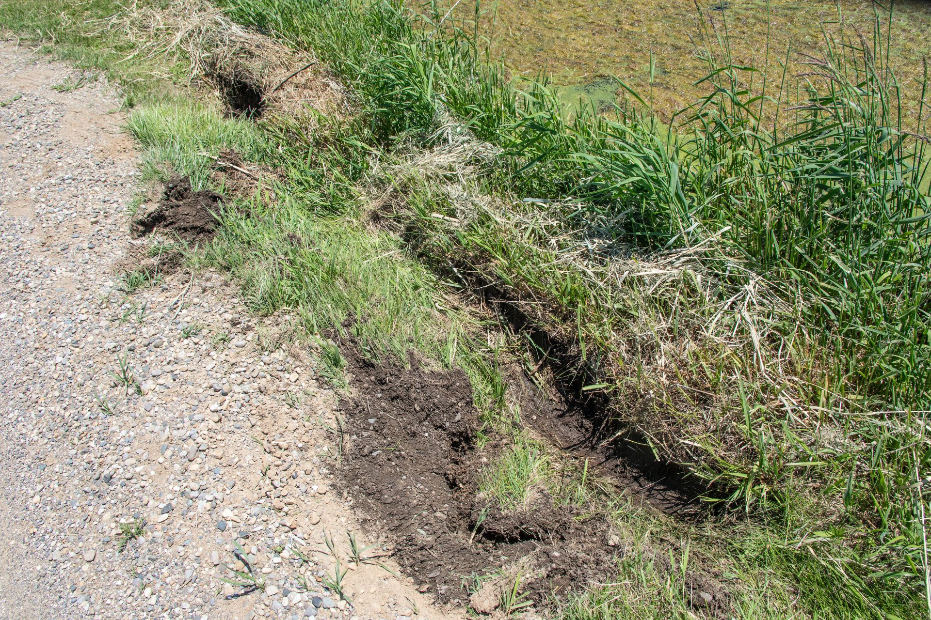 2022 Jeep Grand Wagoneer Gets Stuck On Muddy Shoulder, Tow Truck Saves It