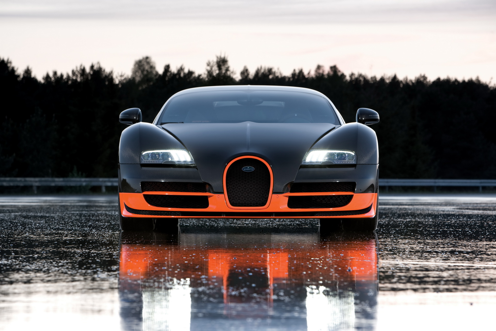 Bugatti Veyron Is 15 Years Old; Here’s A Look At Some Special Versions