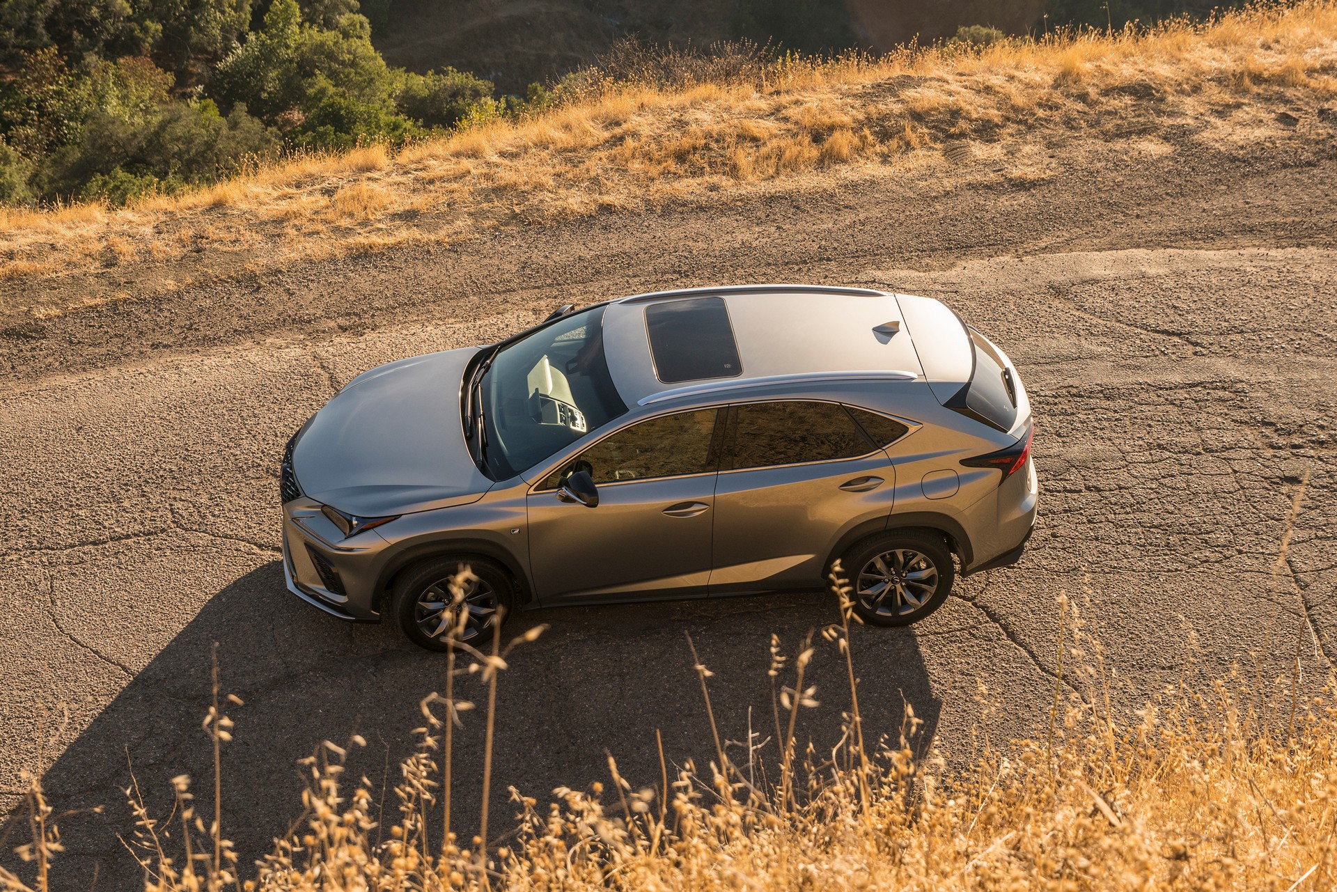 2021 Lexus NX Gains Additional Standard Equipment, Barely Noticeable Design Changes