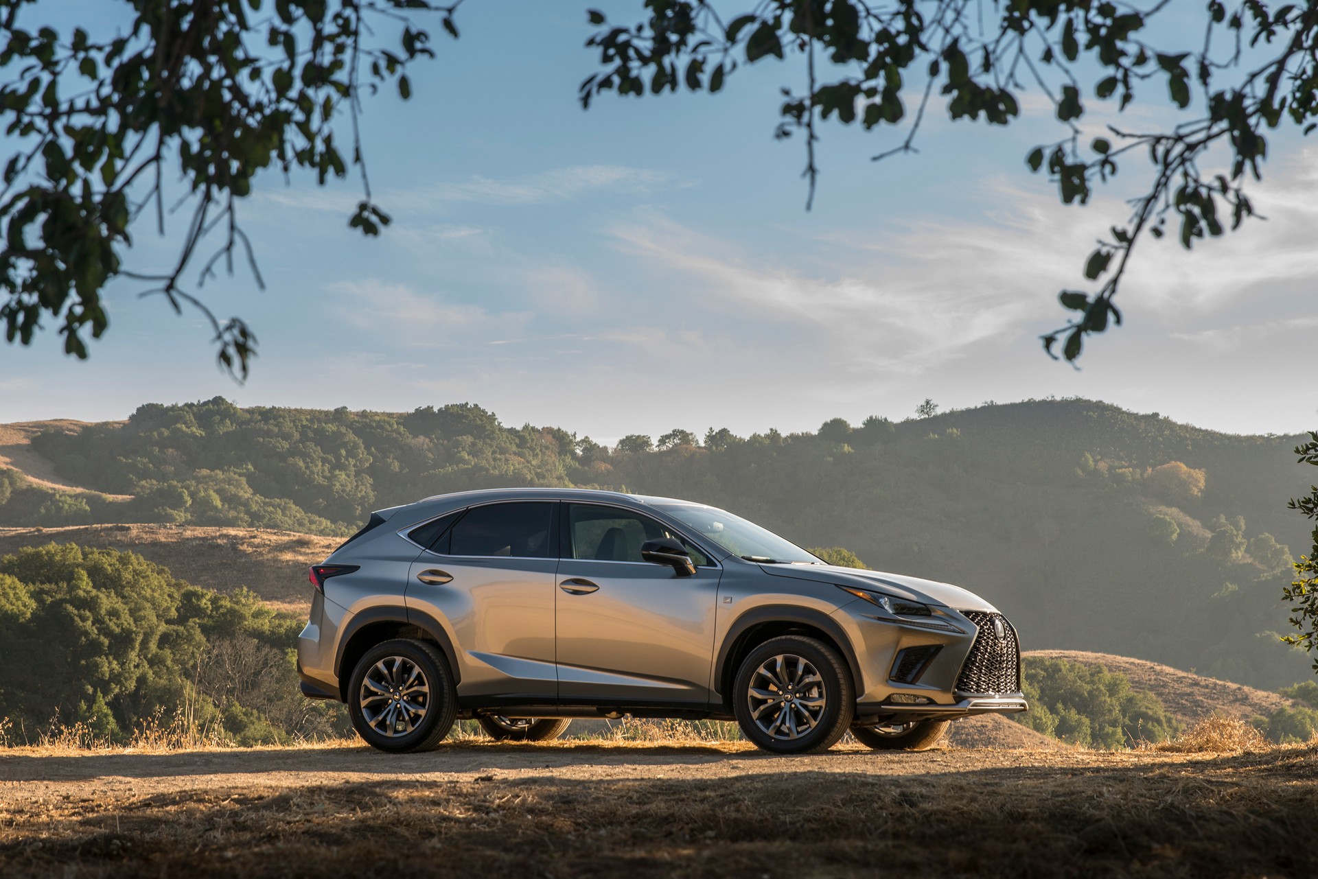 2021 Lexus NX Gains Additional Standard Equipment, Barely Noticeable Design Changes