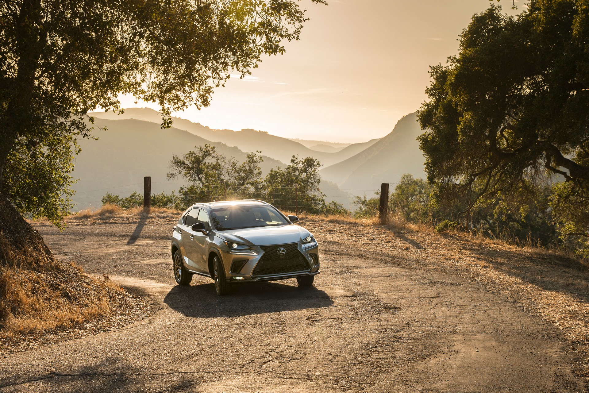 2021 Lexus NX Gains Additional Standard Equipment, Barely Noticeable Design Changes