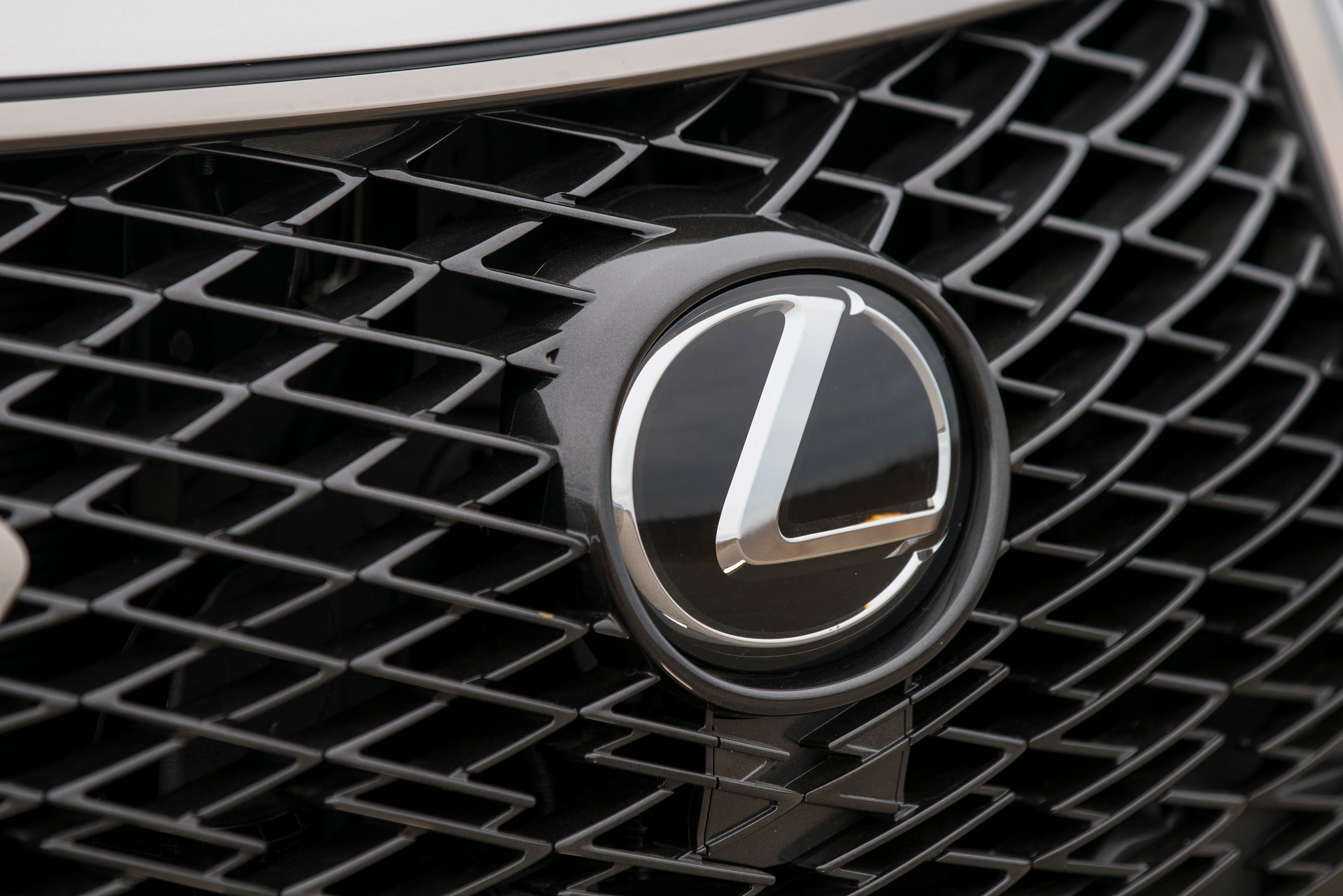 2021 Lexus NX Gains Additional Standard Equipment, Barely Noticeable Design Changes