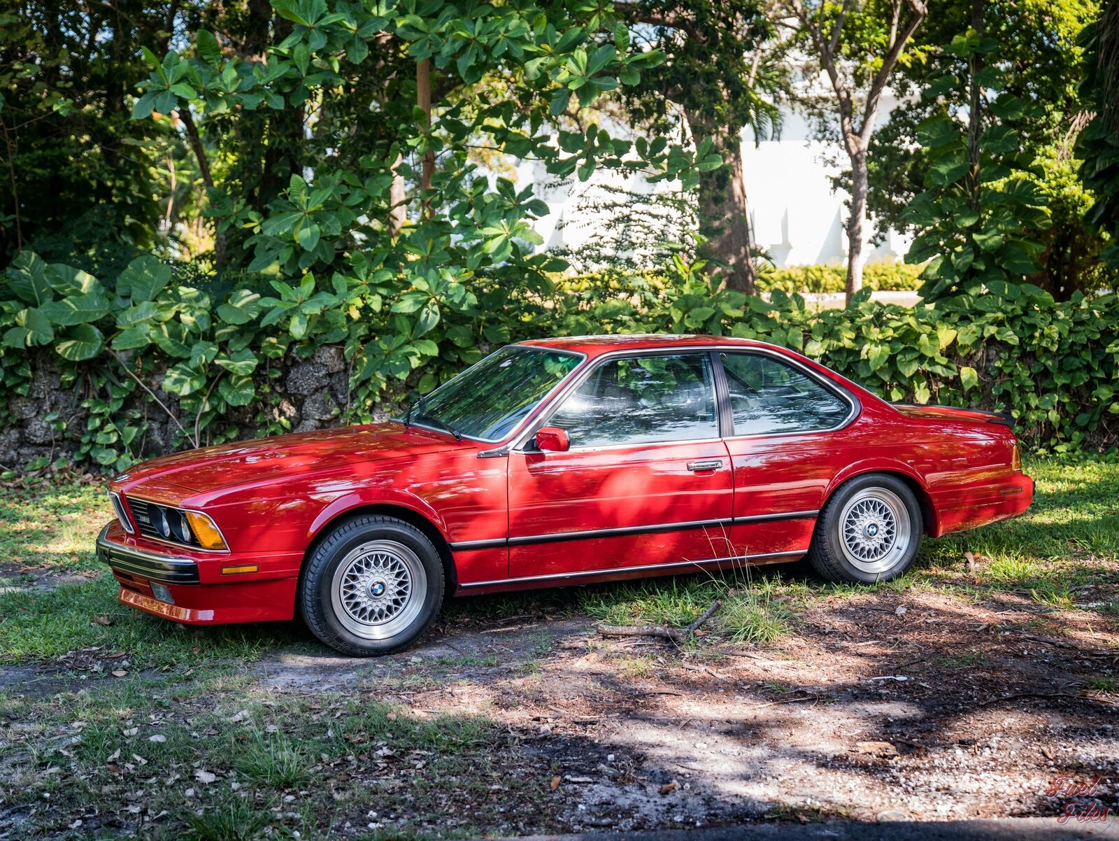 Will You Bite For This 24k Mile Sharknose 1988 BMW M6 At $50k?