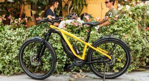 green evs electric bike