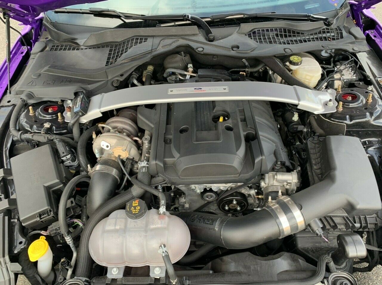 Purple 2019 Ford Mustang Will Give You SEMA Street Cred For $46k