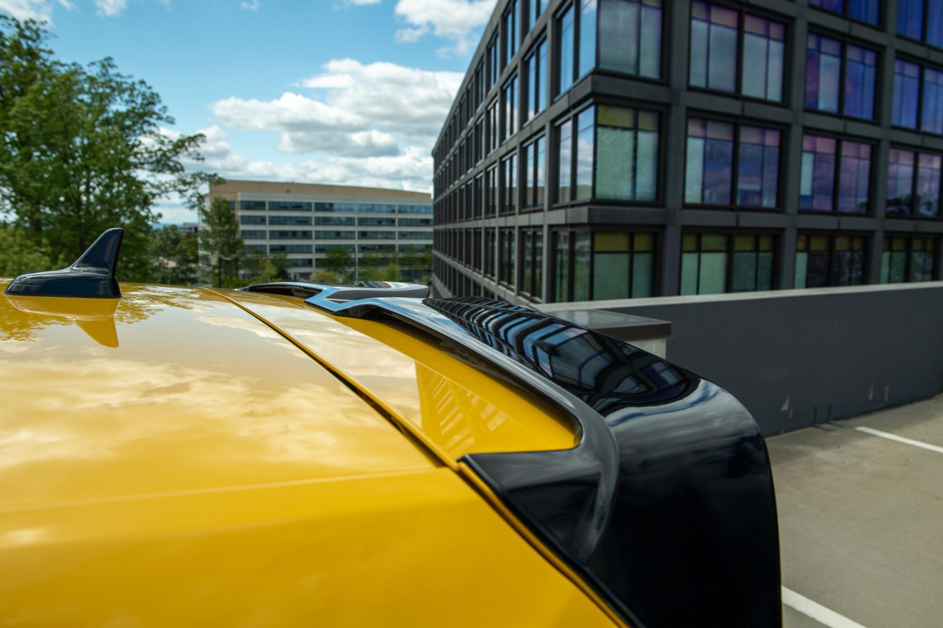 Viper Green Was America’s Most Popular Spektrum Color For 2019 VW Golf R