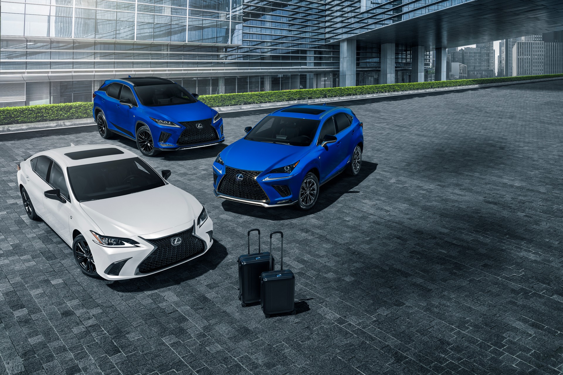 The 2021 Lexus RX Joins The Black Line Crowd With Unique Styling Cues