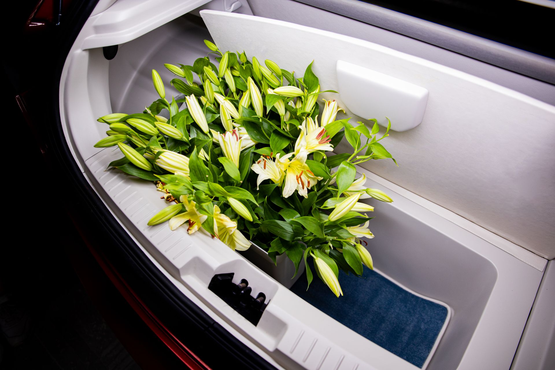 Izera SUV And Hatchback Prototypes Aim To Become The First Polish EVs In 2023