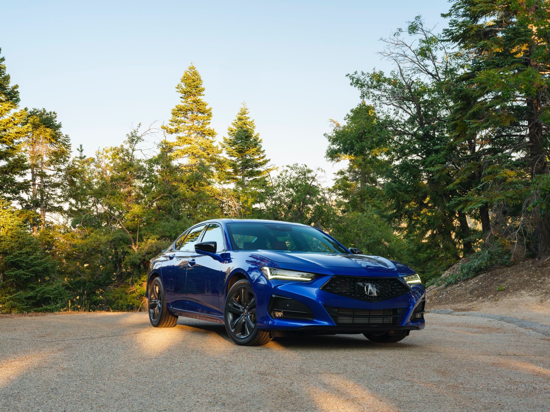 2021 Acura TLX Shows Everything That’s New In 130 Photos