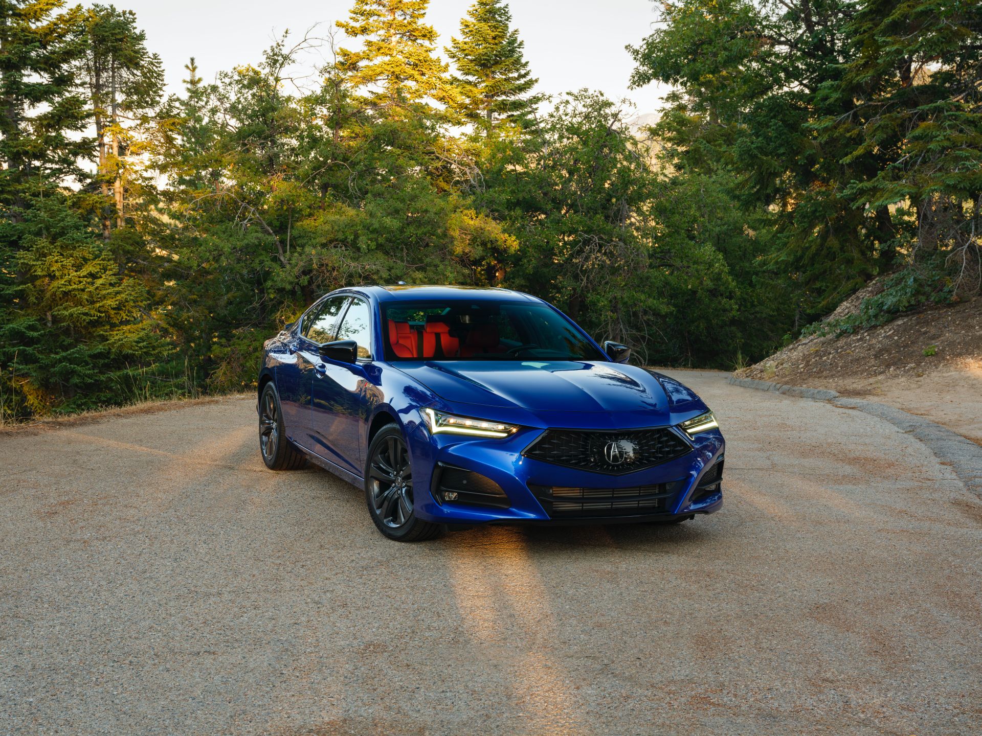 2021 Acura TLX Shows Everything That’s New In 130 Photos