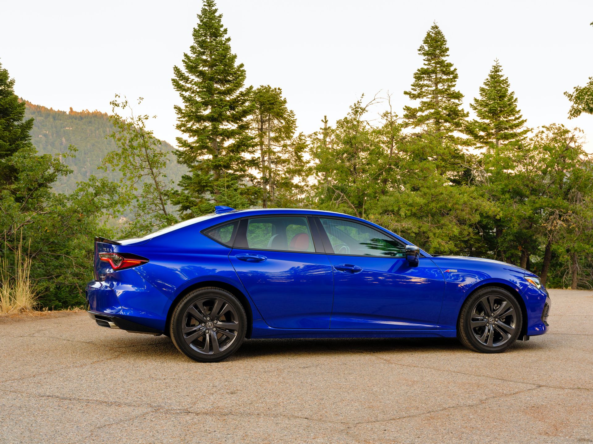2021 Acura TLX Shows Everything That’s New In 130 Photos