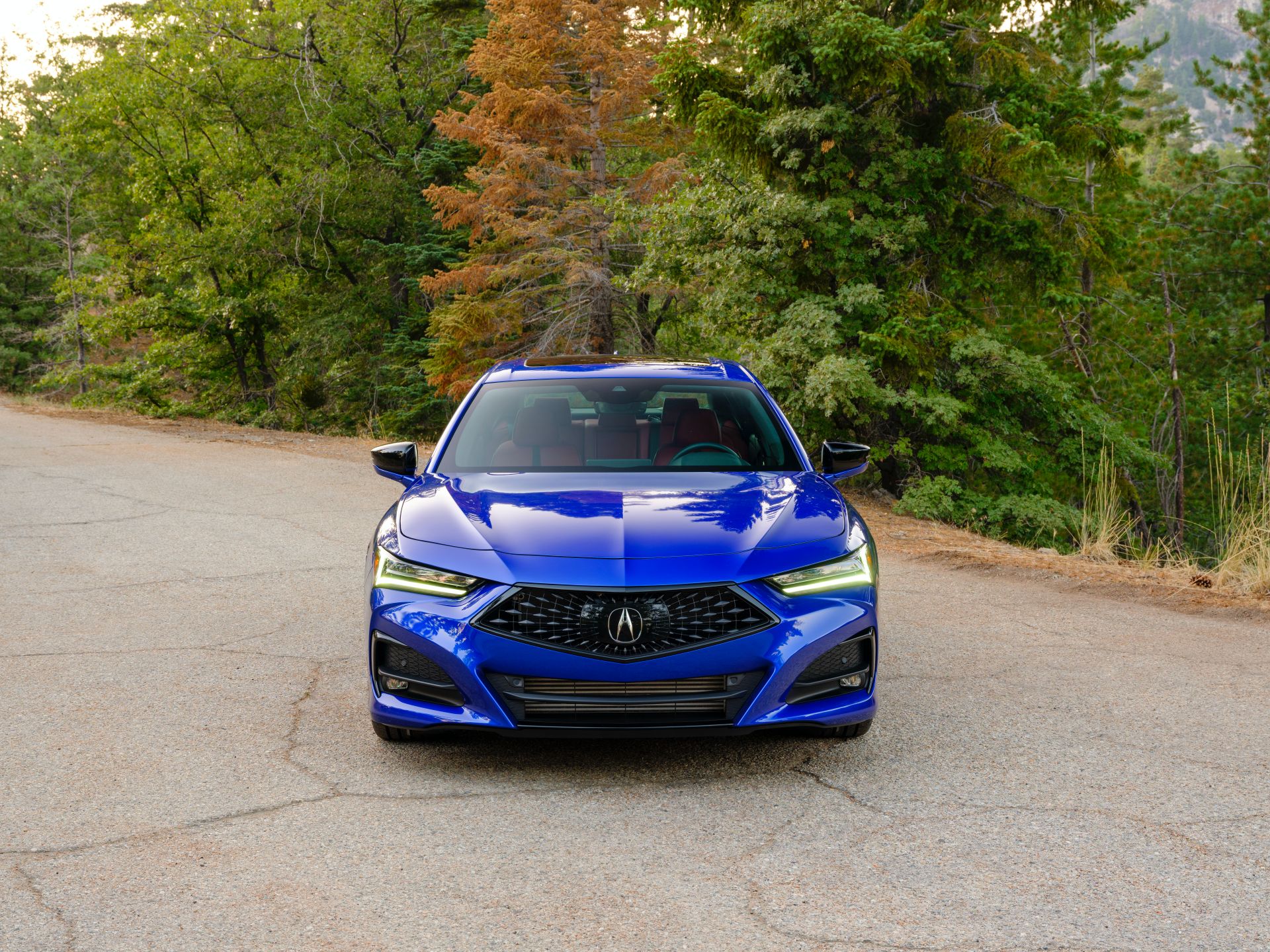 2021 Acura TLX Shows Everything That’s New In 130 Photos
