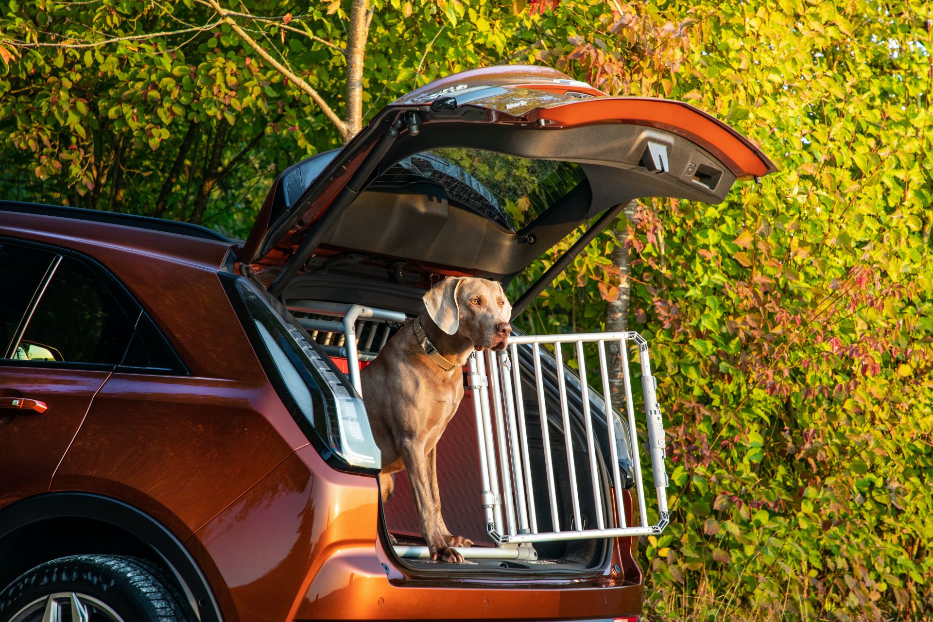 Cadillac XT4 Makes European Debut With Exclusive 172 HP Diesel