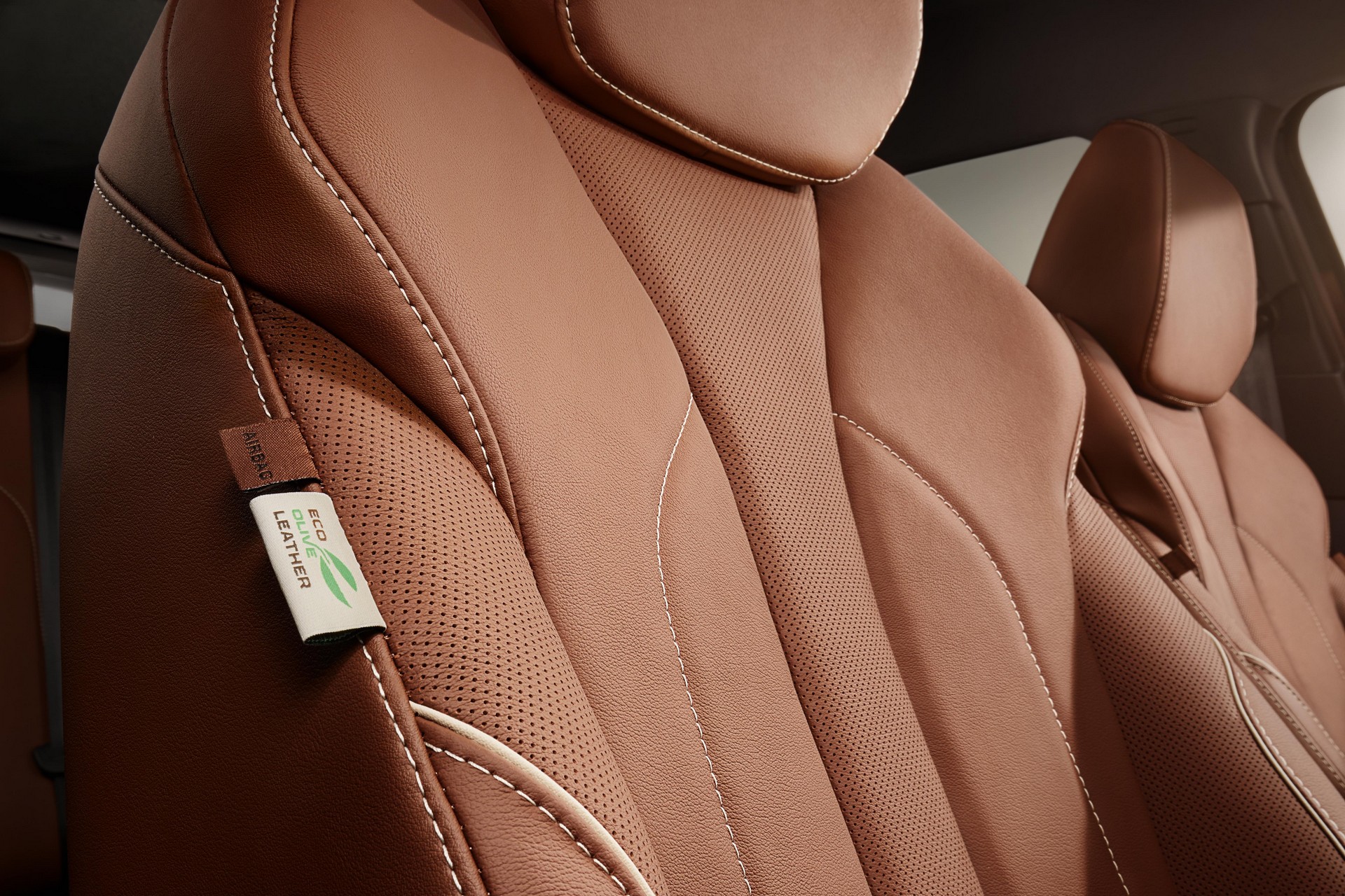 Skoda Enyaq iV Czechs All The Boxes As It’s An Electric Crossover With Up To 317 Miles Of Range