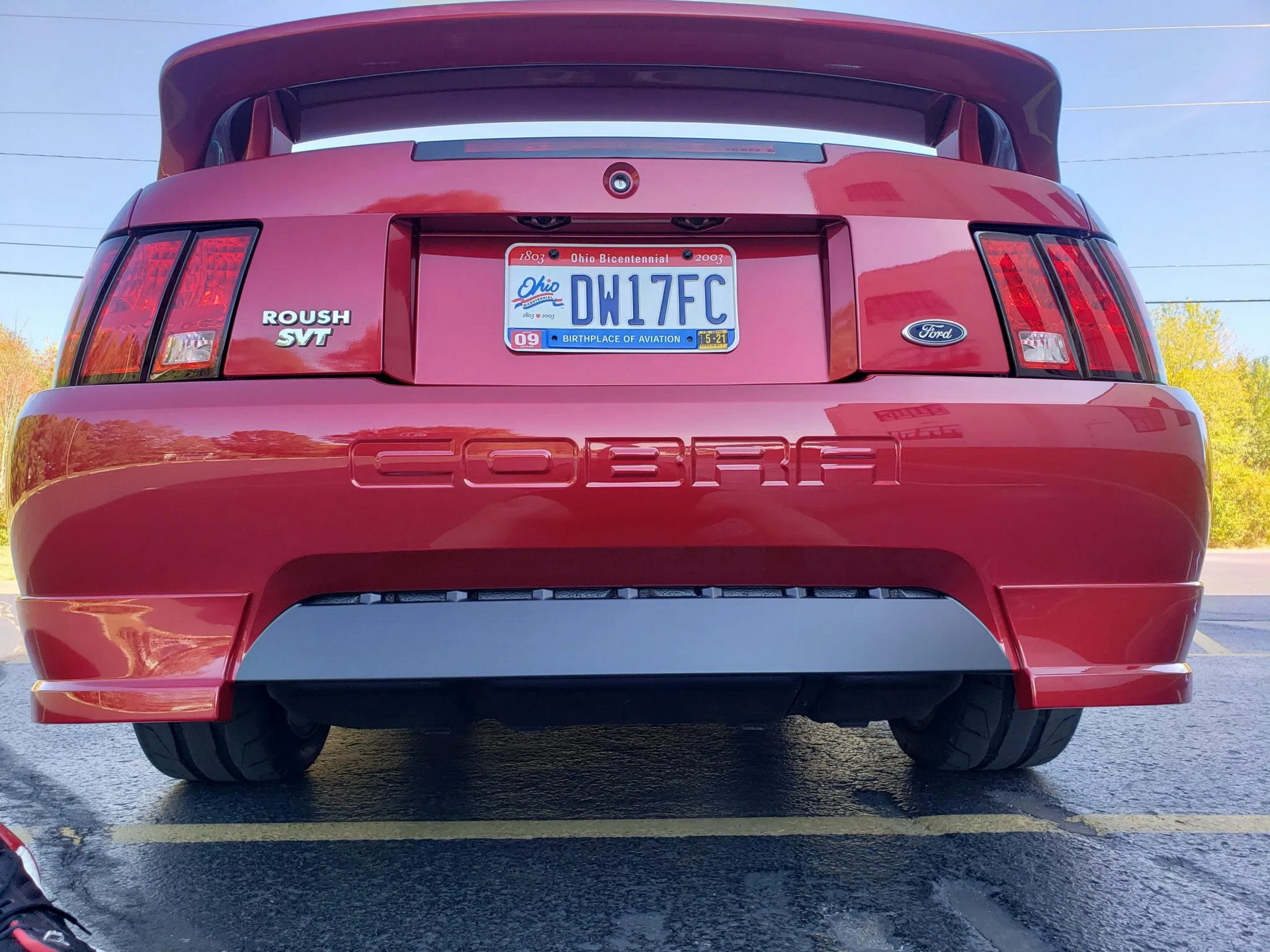 Would You Be Tempted By A Low-Mileage, Roush-Tuned 2003 Ford Mustang SVT Cobra?