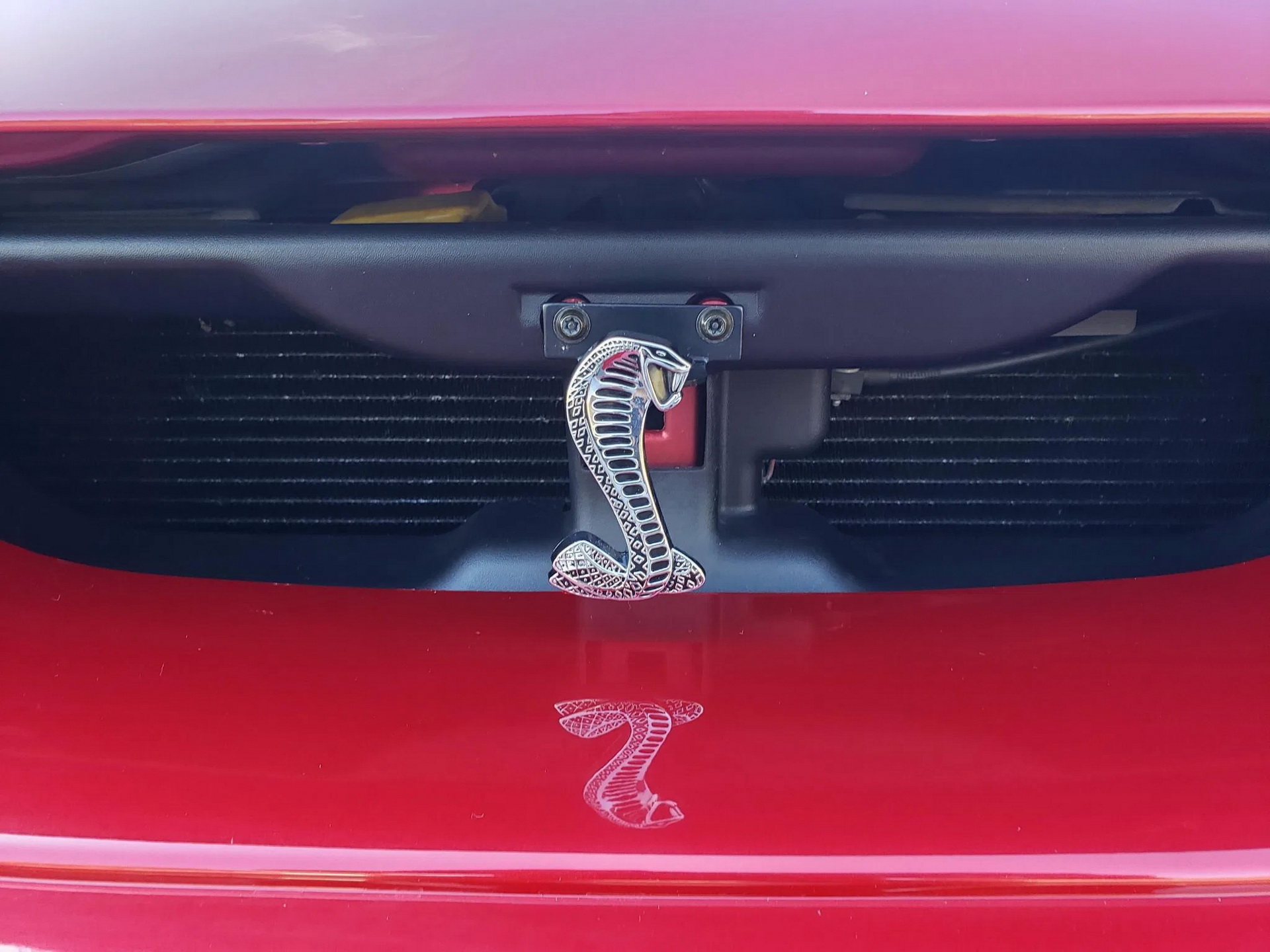 Would You Be Tempted By A Low-Mileage, Roush-Tuned 2003 Ford Mustang SVT Cobra?