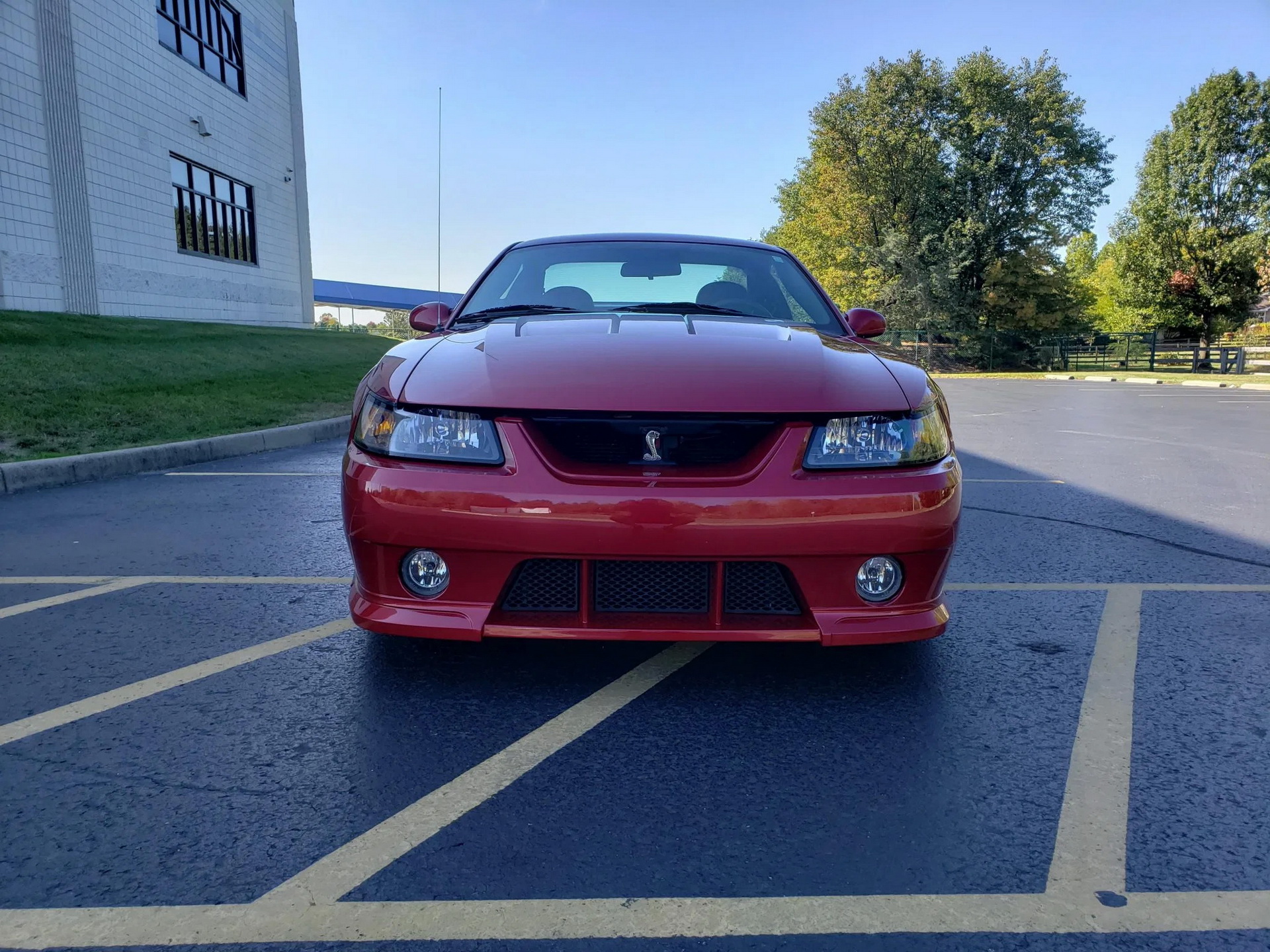 Would You Be Tempted By A Low-Mileage, Roush-Tuned 2003 Ford Mustang SVT Cobra?