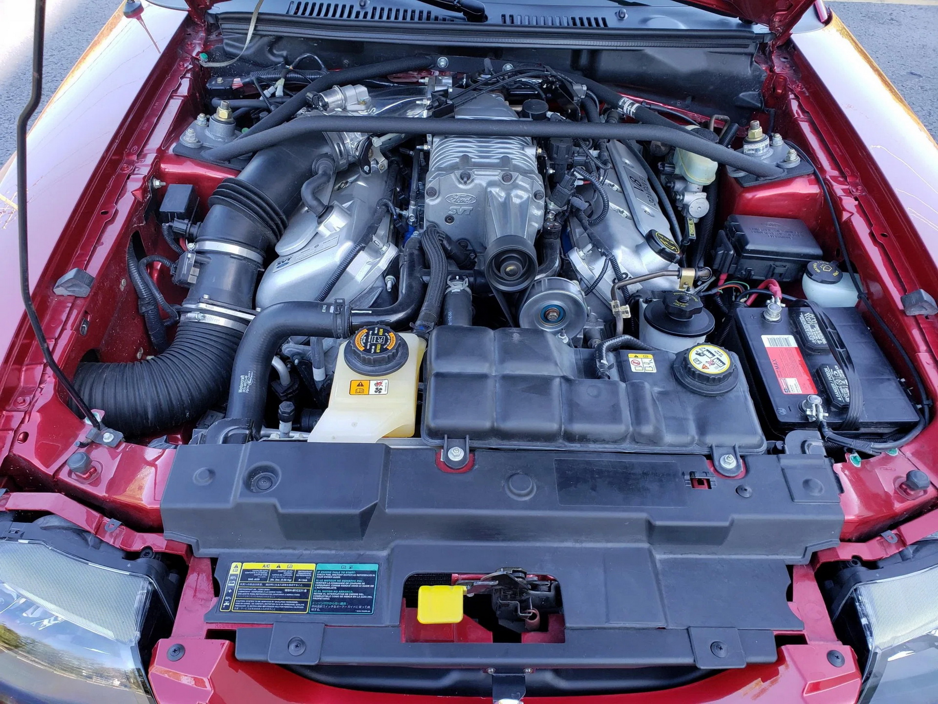 Would You Be Tempted By A Low-Mileage, Roush-Tuned 2003 Ford Mustang SVT Cobra?