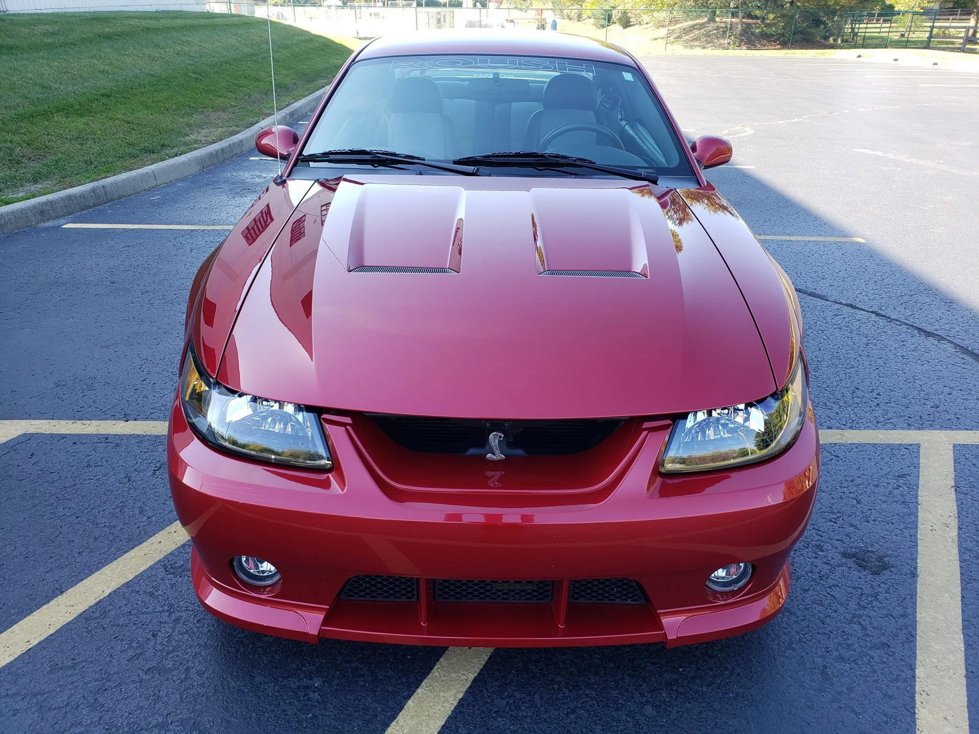 Would You Be Tempted By A Low-Mileage, Roush-Tuned 2003 Ford Mustang SVT Cobra?