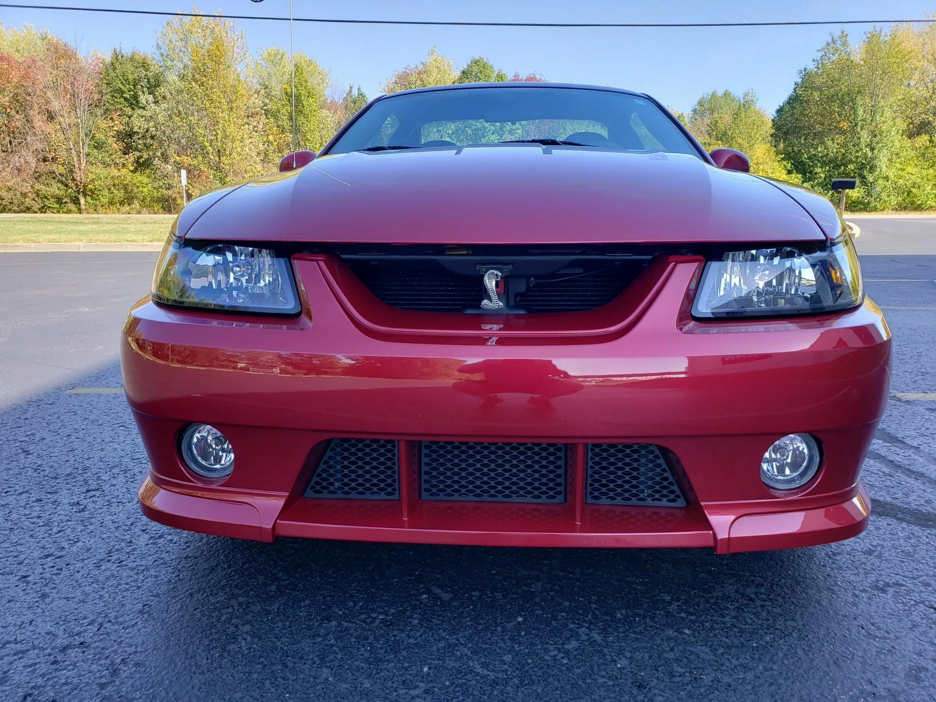 Would You Be Tempted By A Low-Mileage, Roush-Tuned 2003 Ford Mustang SVT Cobra?
