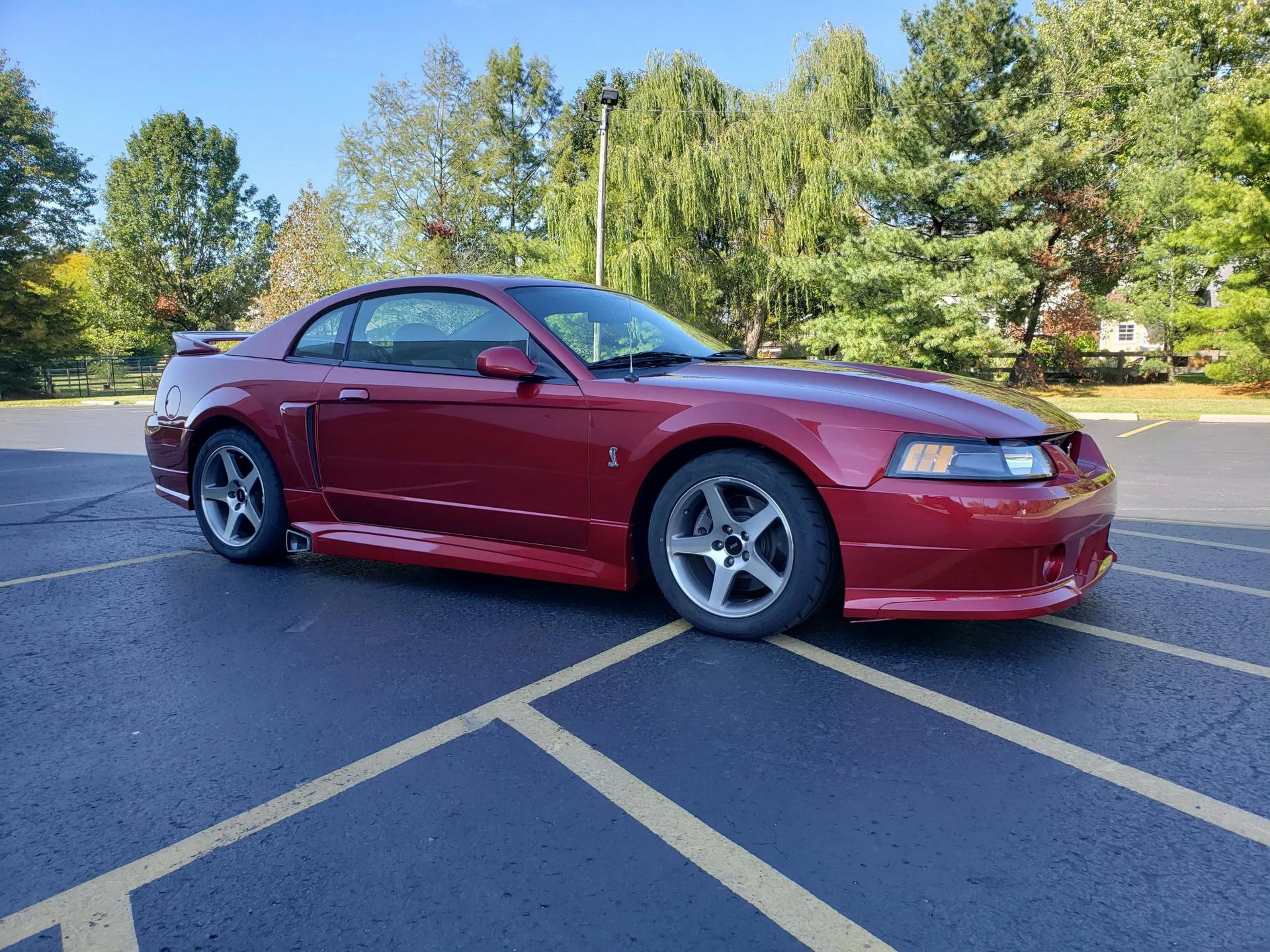 Would You Be Tempted By A Low-Mileage, Roush-Tuned 2003 Ford Mustang SVT Cobra?