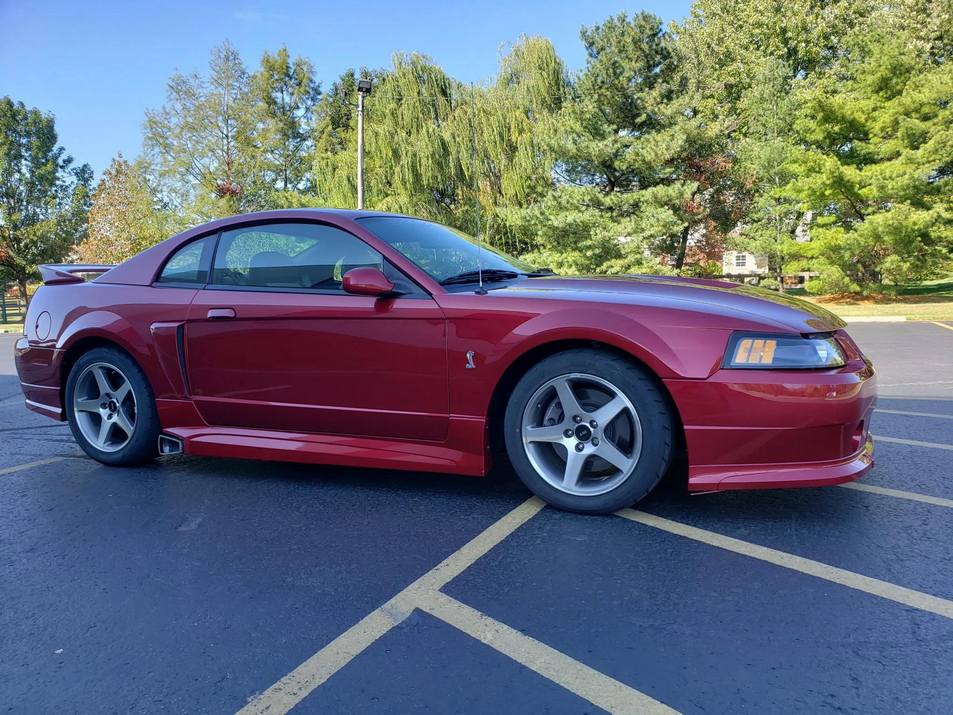 Would You Be Tempted By A Low-Mileage, Roush-Tuned 2003 Ford Mustang SVT Cobra?